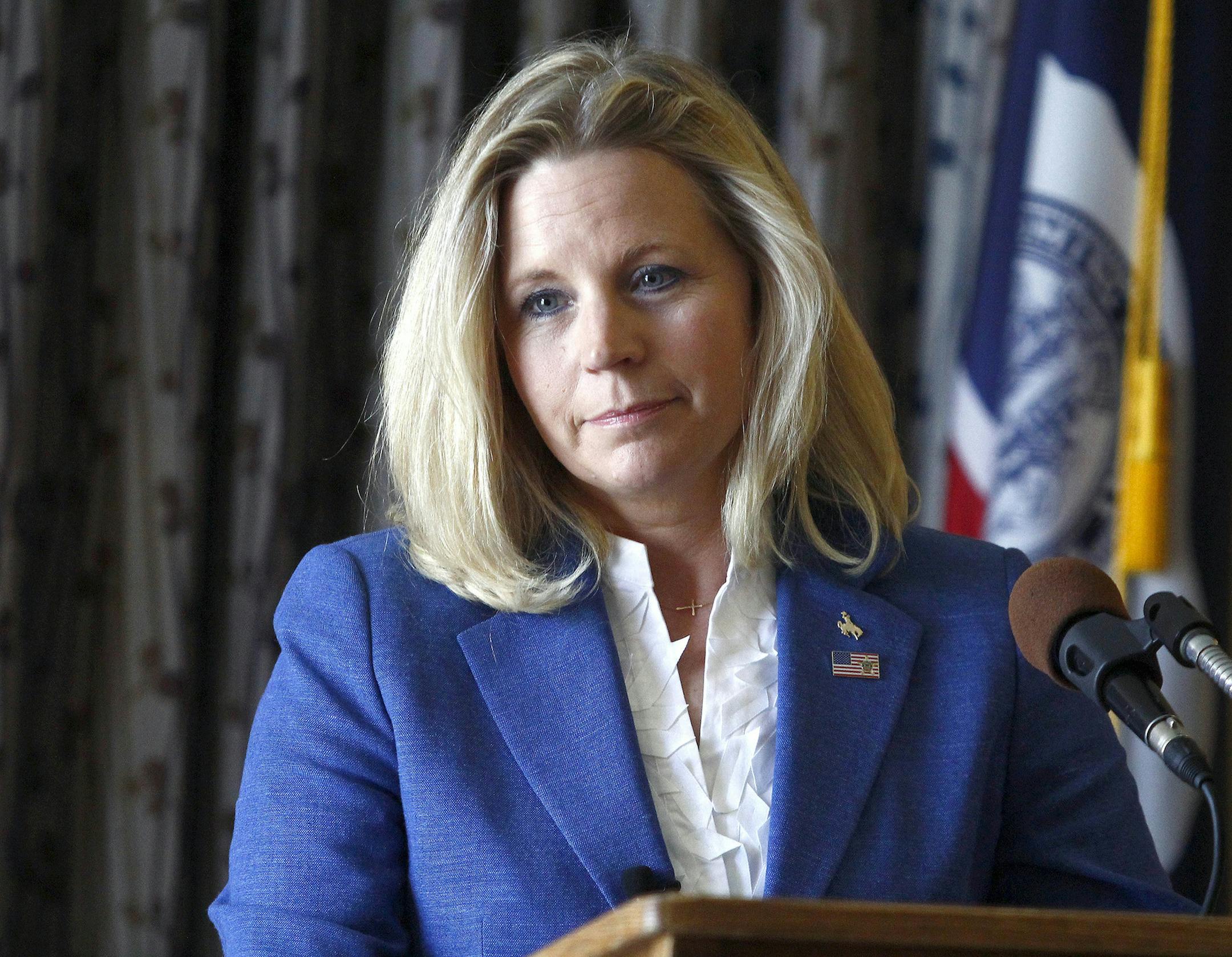 CORRECTS TO SAY THAT LIZ CHENEY OPPOSES GAY MARRIAGE AND THAT HER SISTER MARY CHENEY ATTENDED THE FREEDOM INDIANA RECEPTION - FILE - In this July 17, 2013, file photo, Liz Cheney speaks during a campaign appearance in Casper, Wyo. Liz Cheney, who opposes gay marriage and is running to unseat Republican U.S. Sen. Mike Enzi of Wyoming, garnered attention recently over a spat with her sister Mary Cheney, who on Wednesday, Dec. 11, 2013, rallied opponents of an effort to write Indiana‚Ä&