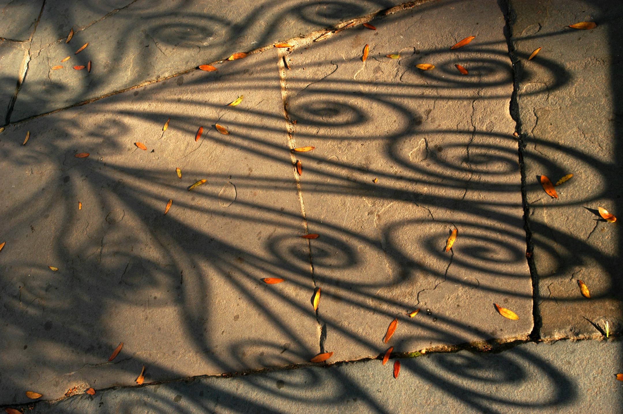 A wrought iron shadow, and the leaves of a shedding live oak, fall on the sidewalk, Meeting Street, Charleston, S.C.