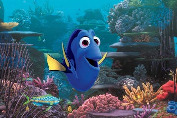 This image released by Disney shows the character Dory, voiced by Ellen DeGeneres, in a scene from "Finding Dory." (Pixar/Disney via AP)