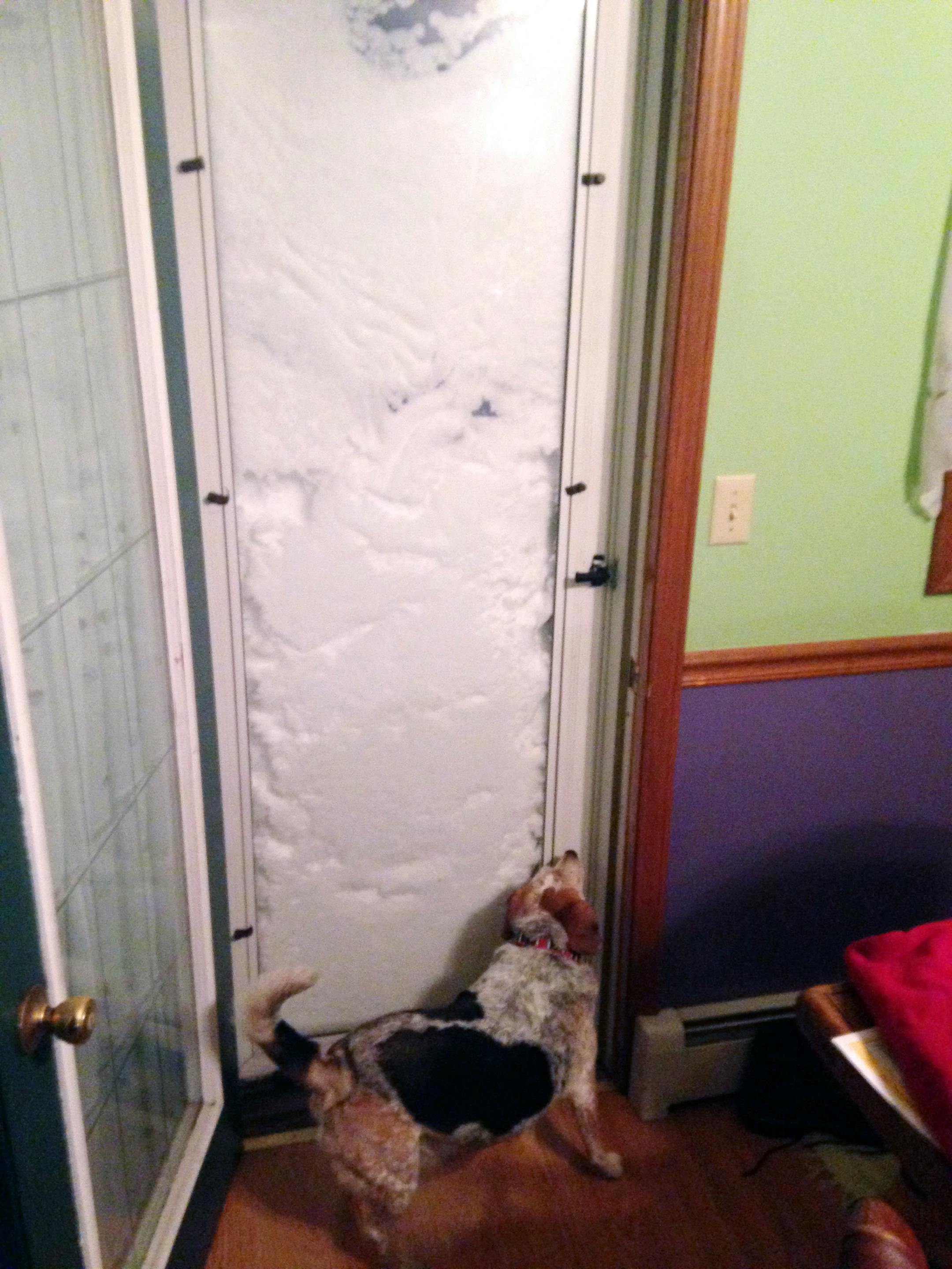 In this photo provided by Patrick Bryne, his dog, Bonnie, sniffs a door blocked with snow on Tuesday, Nov. 18, 2014, in South Buffalo, N.Y. A lake-effect snowstorm dumped more than 4 feet of snow on the Buffalo area on Tuesday. (AP Photo/Patrick Bryne)