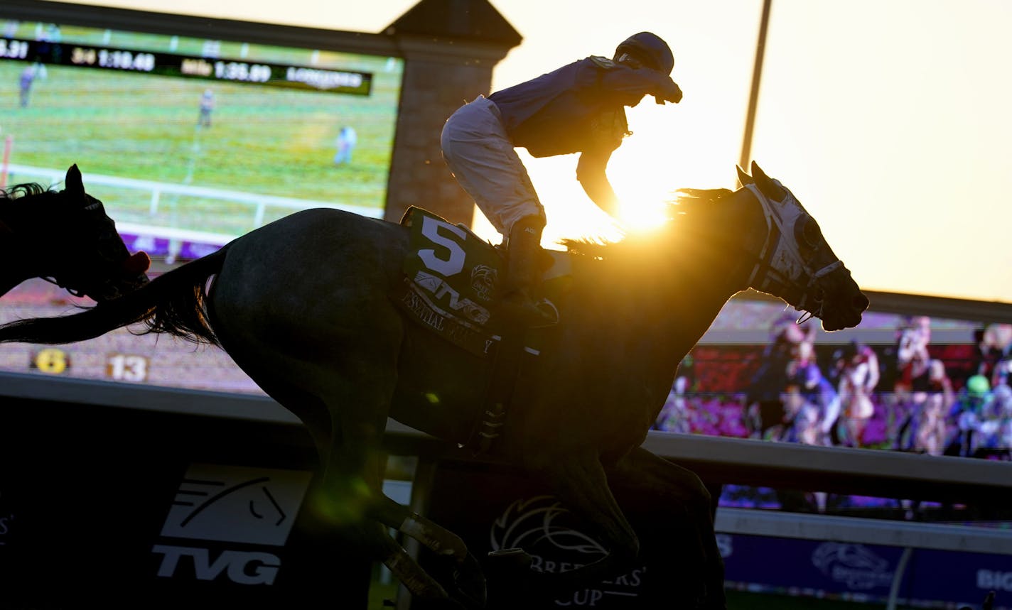 Jockey Luis Saez rides Essential Quality to win the Breeders' Cup Juvenile horse race at Keeneland Race Course, Friday, Nov. 6, 2020, in Lexington, Ky. (AP Photo/Michael Conroy)