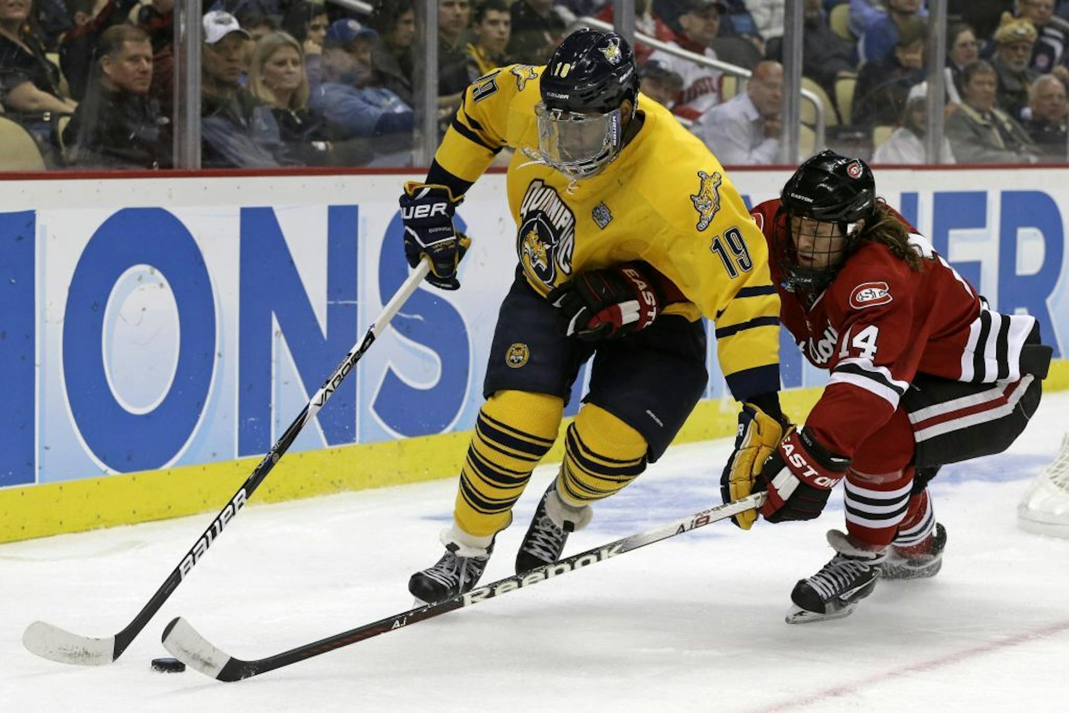 Quinnipiac forward Jordan Samuels-Thomas works the puck in the corner against St. Cloud State's Nick Jensen
