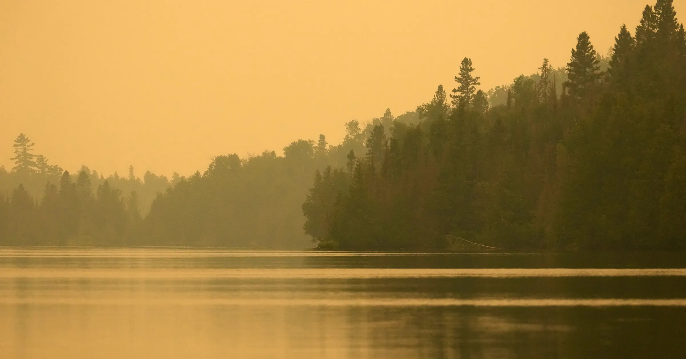Opinion | What it’s like to watch northern Minnesota burn