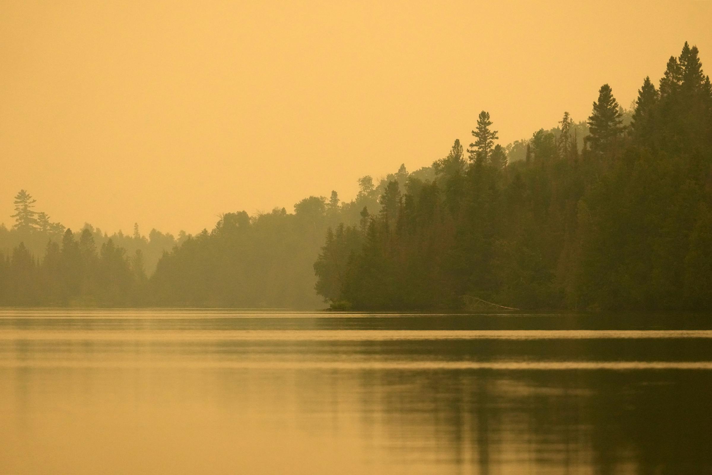 https://arc.stimg.co/startribunemedia/FFSDXYYCGREOPOC7WSML5O2L74.jpg?&w=1200&ar=1.91:1&fit=crop