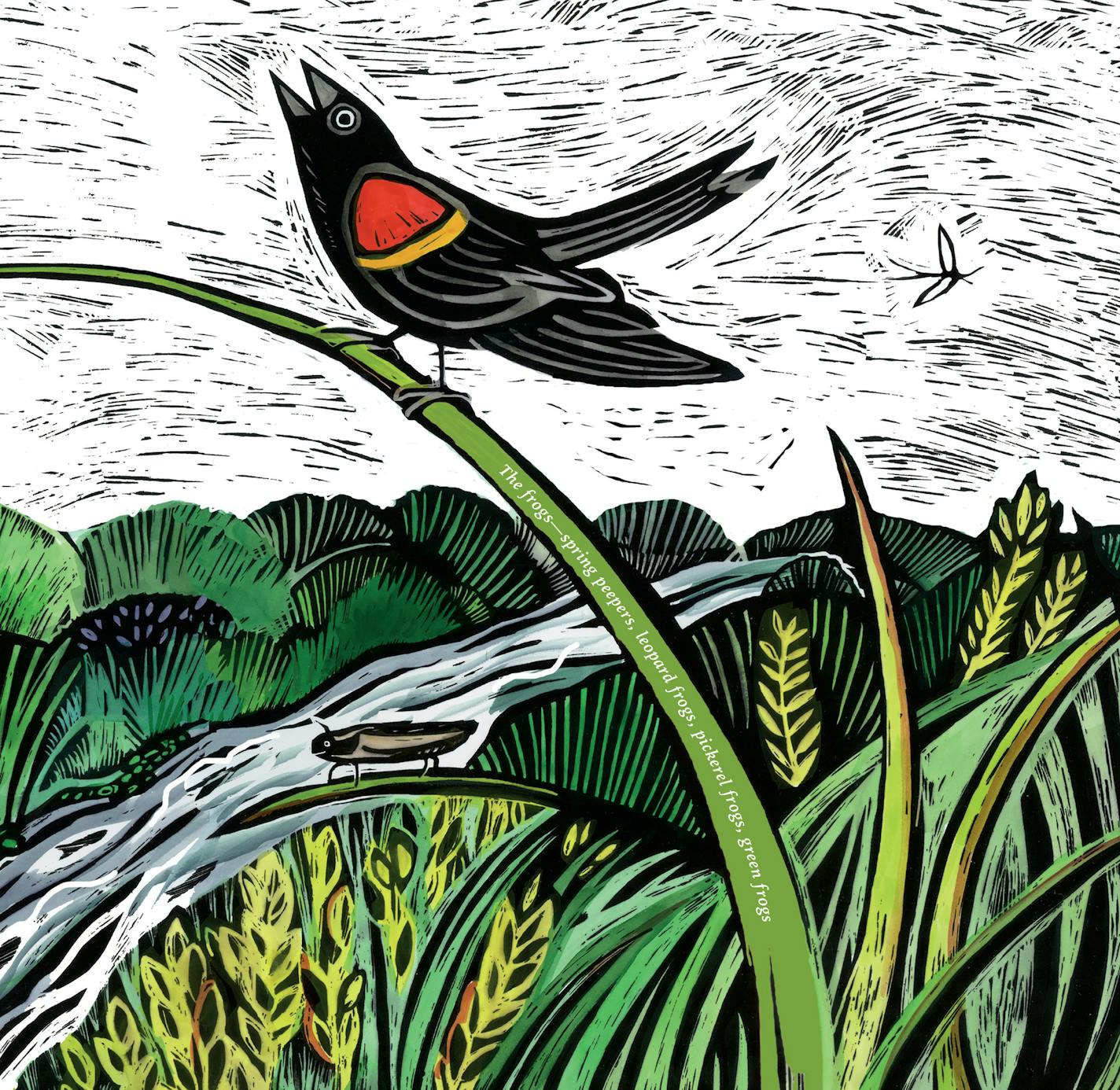 From &#x201c;Creekfinding,&#x201d; by Jacqueline Briggs Martin, illustrated by Claudia McGehee, published by University of Minnesota Press.