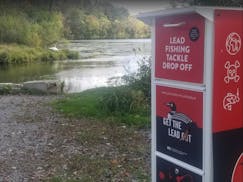 A swan can be seen in the Sucker Lake channel behind a box installed in partnership with the Minnesota Pollution Control Agency to collect lead tackle