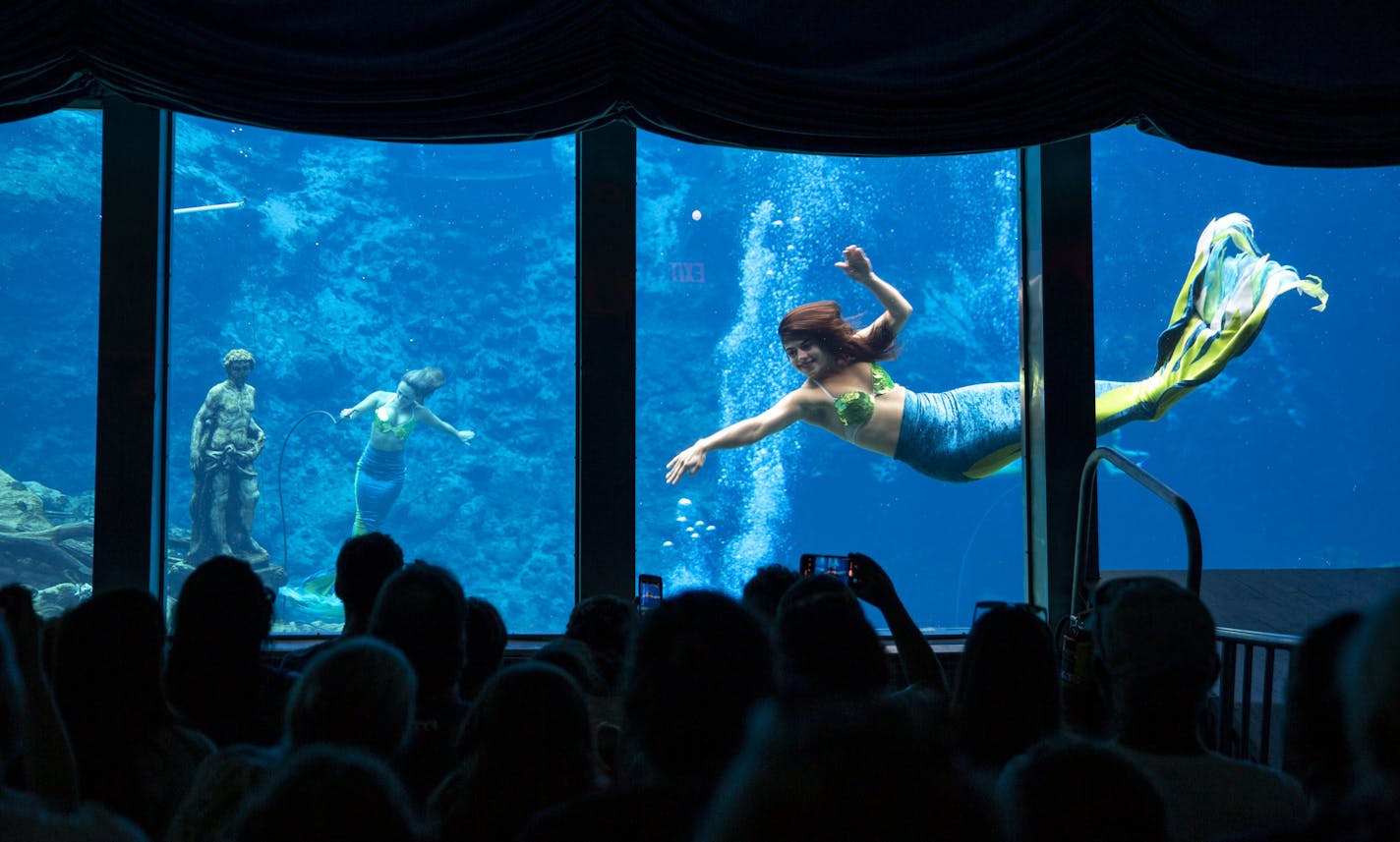 Weeki Wachee mermaids perform "The Little Mermaid" at Weeki Wachee Springs State Park on Tuesday, Aug. 6, 2019. (Patrick Connolly/Orlando Sentinel/TNS)