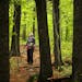 Melanie McManus takes a moment to enjoy the old growth forest of Magney Snively Natural Area near Spirit Mountain in Duluth.