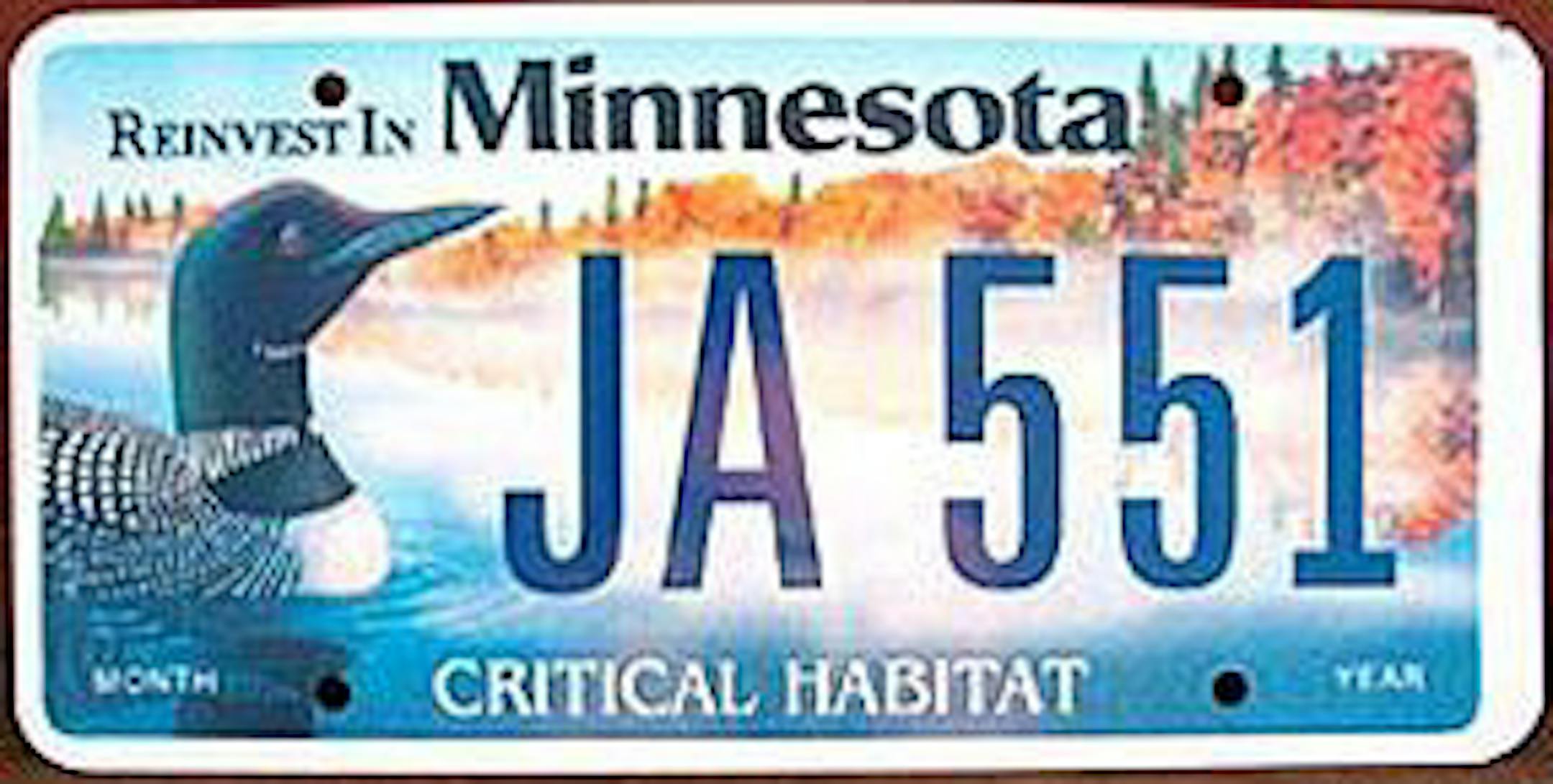 Minnesota loon license plate