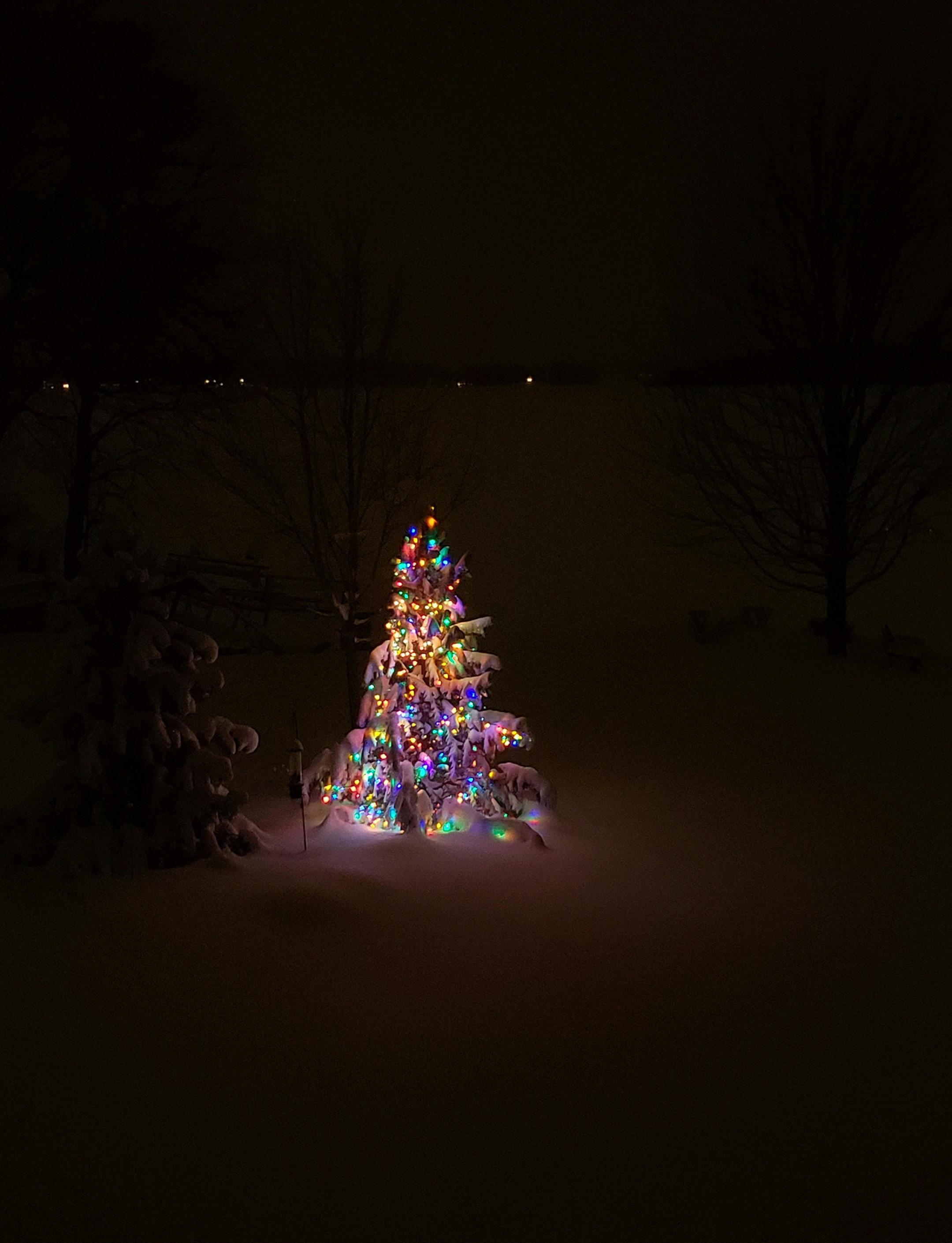 We always decorate this one tree in our yard, and leave the lights on until the snow stops falling for the winter. It provides a touch of beauty and calm until we can see the water of Lake Minnetonka again. Donna Swedin, Orono MN