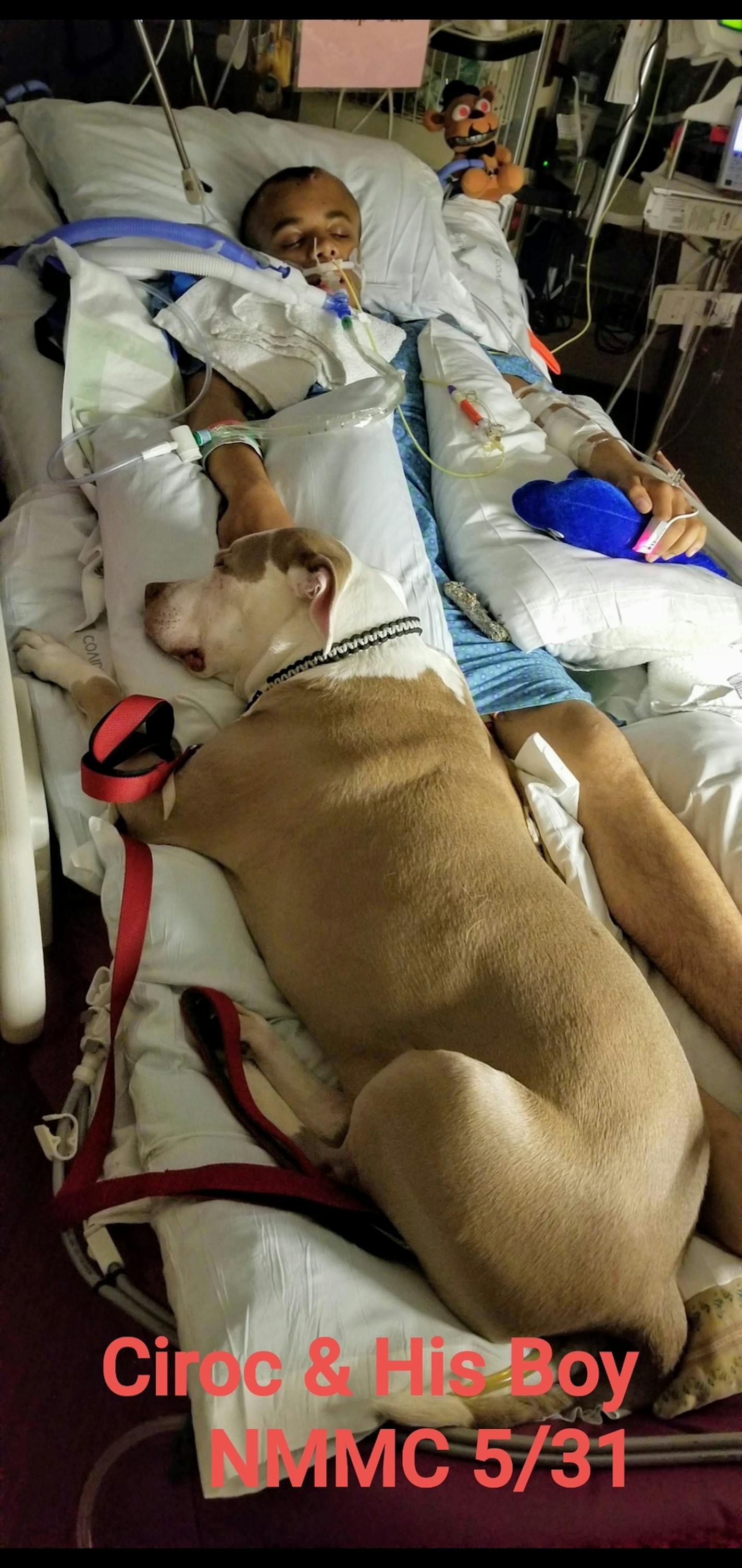 Caleb Livingston's dog, Ciroc, comforted him in his hospital bed at North Memorial Medical Center after he was shot in the head in May 2019.