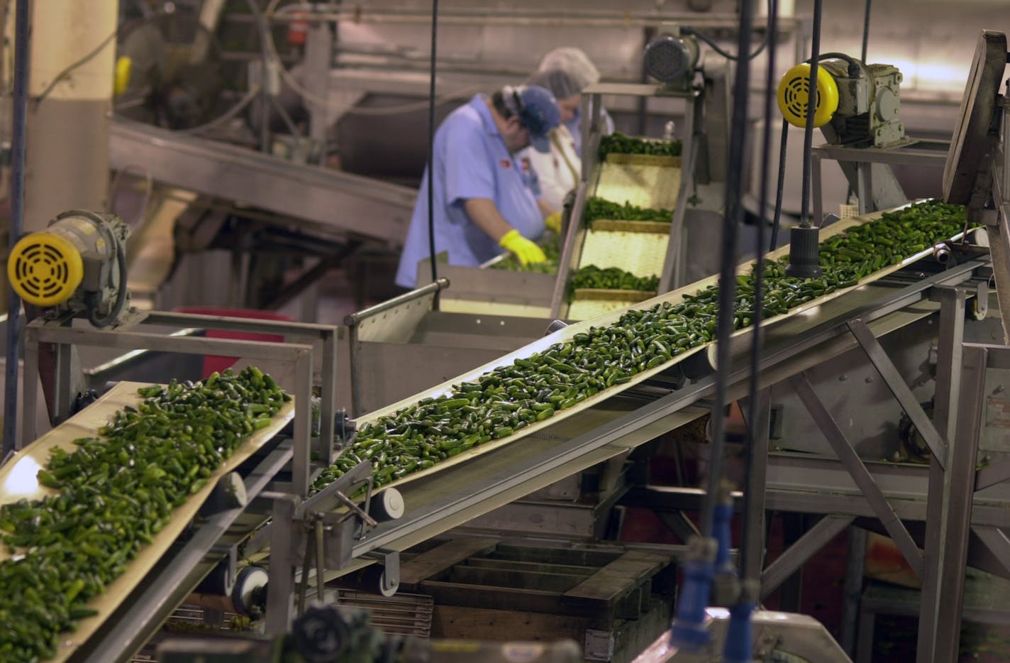 A production line at Gedney's Chaska facility is shown in February 2002. Gedney plans to lay off 38 people in Chaska this summer. (Star Tribune file photo by Richard Sennott) ORG XMIT: MER0003e43a7450da1da0922b99067e5