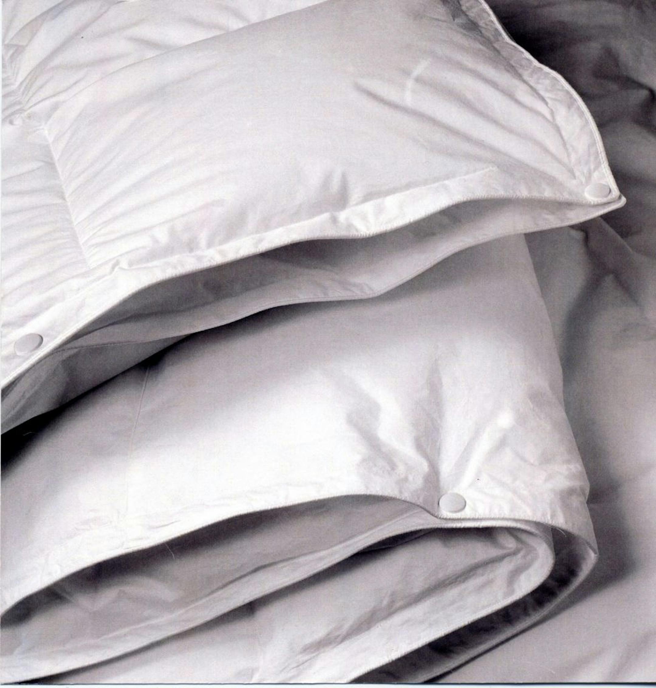 Equinox Dual-Layer Down Comforter,Equinox Sleep Systems.