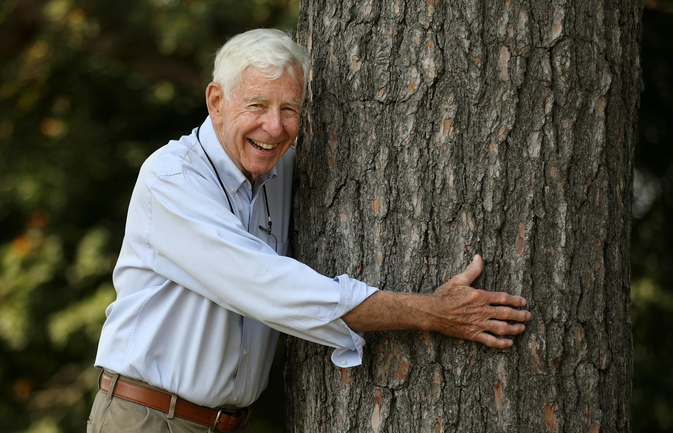 Dennis Robertson, who founded the Lake City Heritage Tree Trail after he was inspired by a trip with his wife to a Canadian town that had a similar trail, hugged a white pine, one of his favorites, at Patton Park. ] ANTHONY SOUFFLE &#xef; anthony.souffle@startribune.com Dennis Robertson founded the Lake City Heritage Tree Trail after he was inspired by a trip with his wife to a Canadian town that had a similar trail. Robertson stood for a portrait Tuesday, Sept. 12, 2017 in Lake City, Minn.