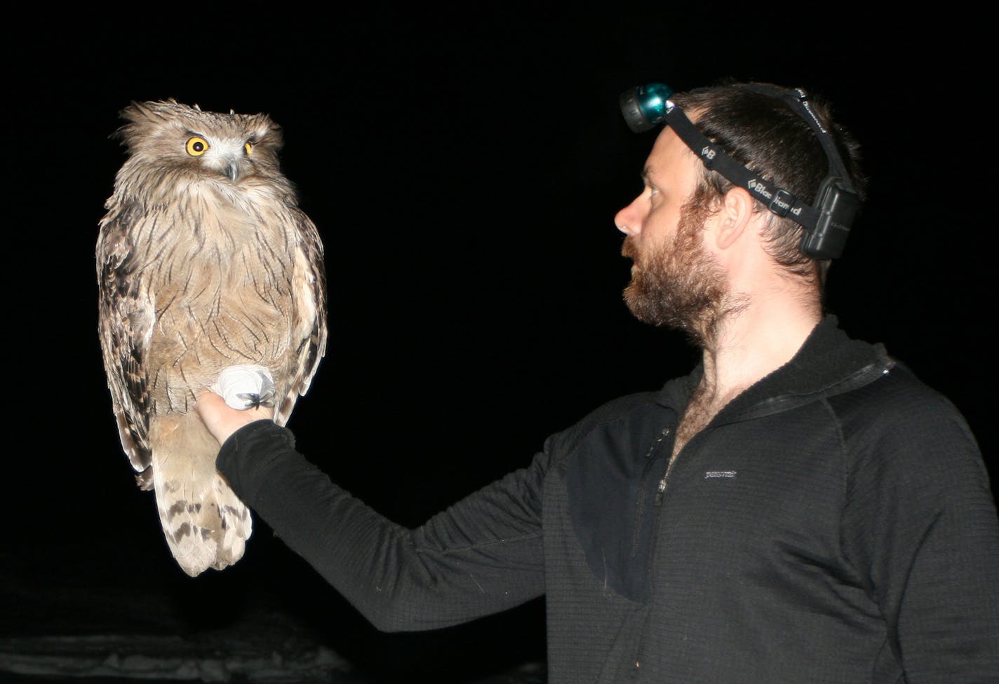 Jonathan C. Slaght with a fish owl.