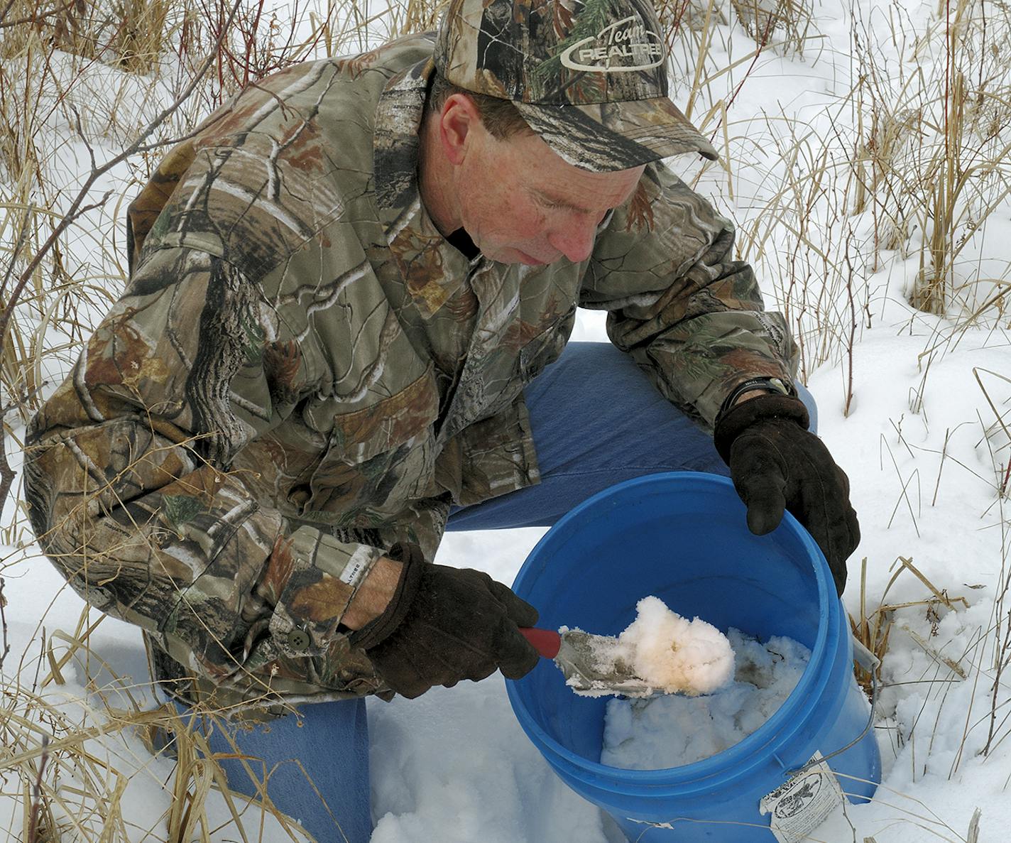 Look for yellow snow in areas where deer concentrate during winter, such as a feeding area, or along the trails leading to and from the feeding areas. A plastic bucket and garden trowel work well for gathering the frozen urine.