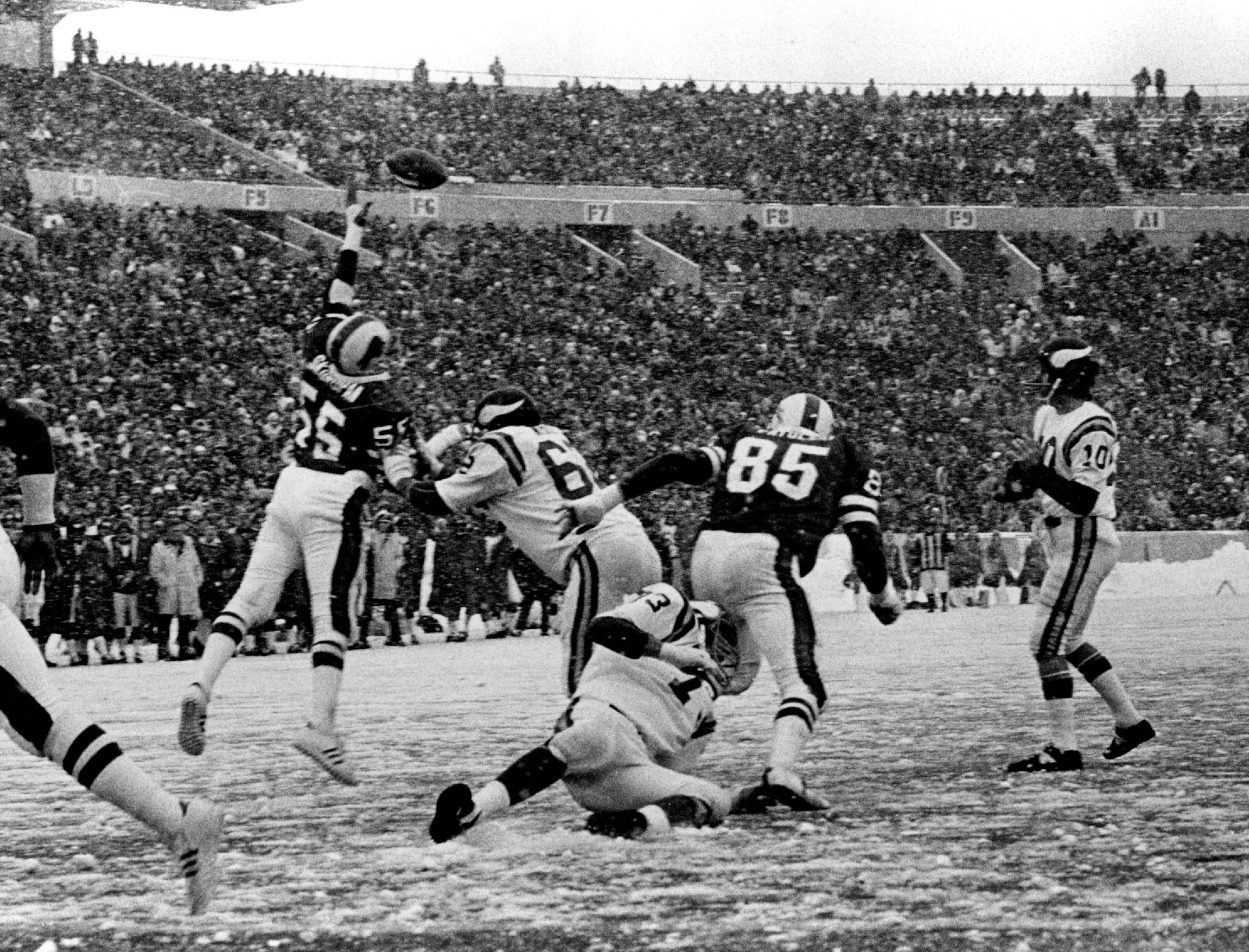 January 11, 1976: Buffalo's left linebacker John Skorupan (55) tried to block Fran Tarkenton's tie-breaking touchdown pass to Chuck Foreman.