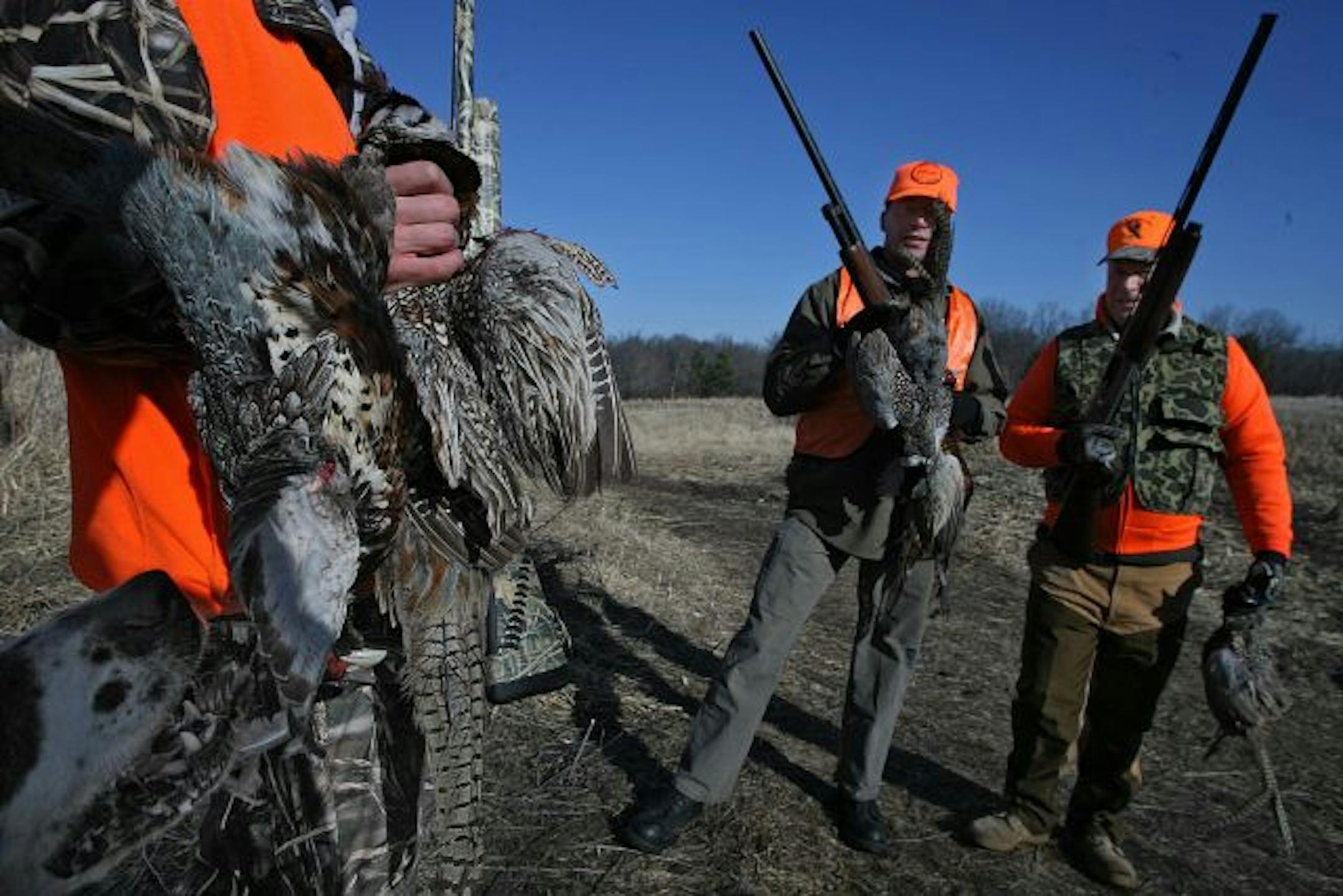 Gabe Timp of Cottage Grove, and his dad, Gary, held pheasants they had bagged during the hunt last weekend for veterans at the Minnesota Horse and Hunt Club.