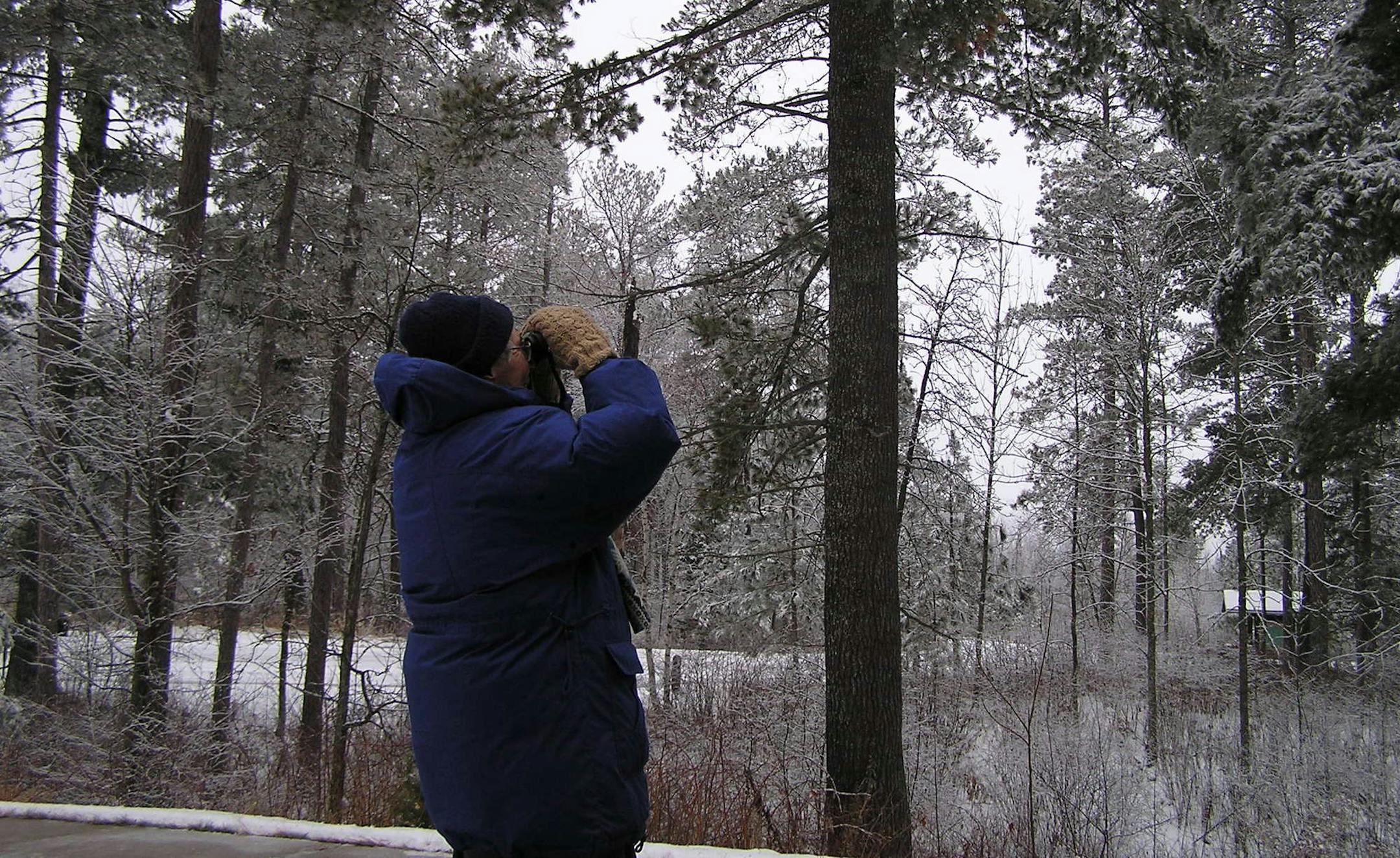 Provided by Minn. DNR