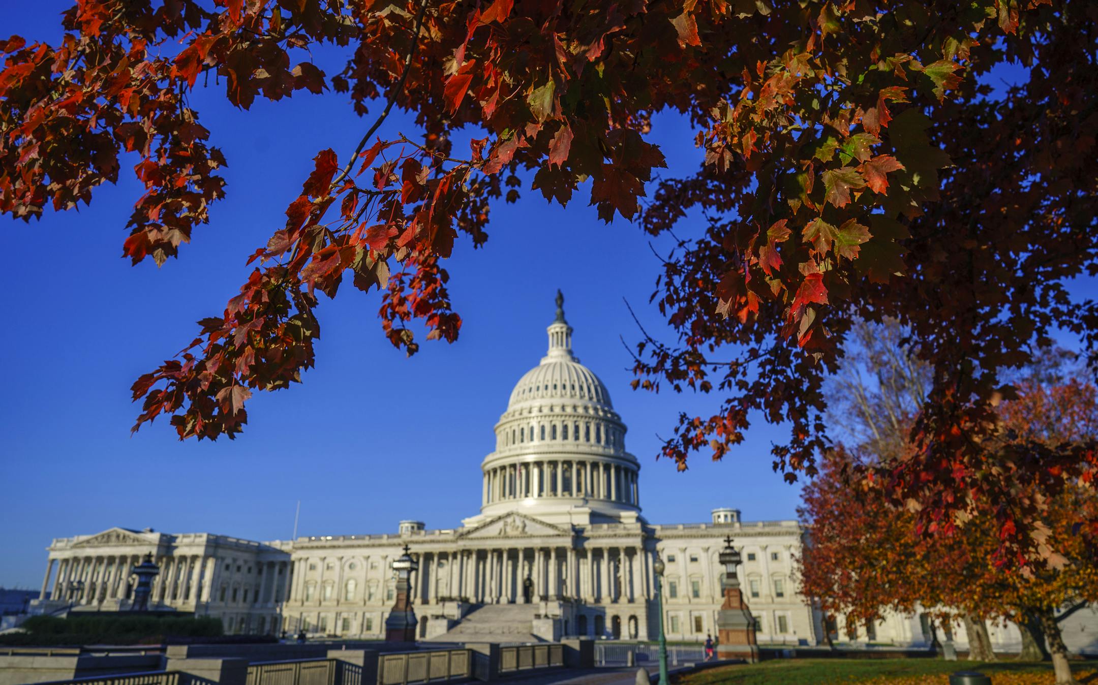 The future majority of the Senate could be determined by runoffs in Georgia.