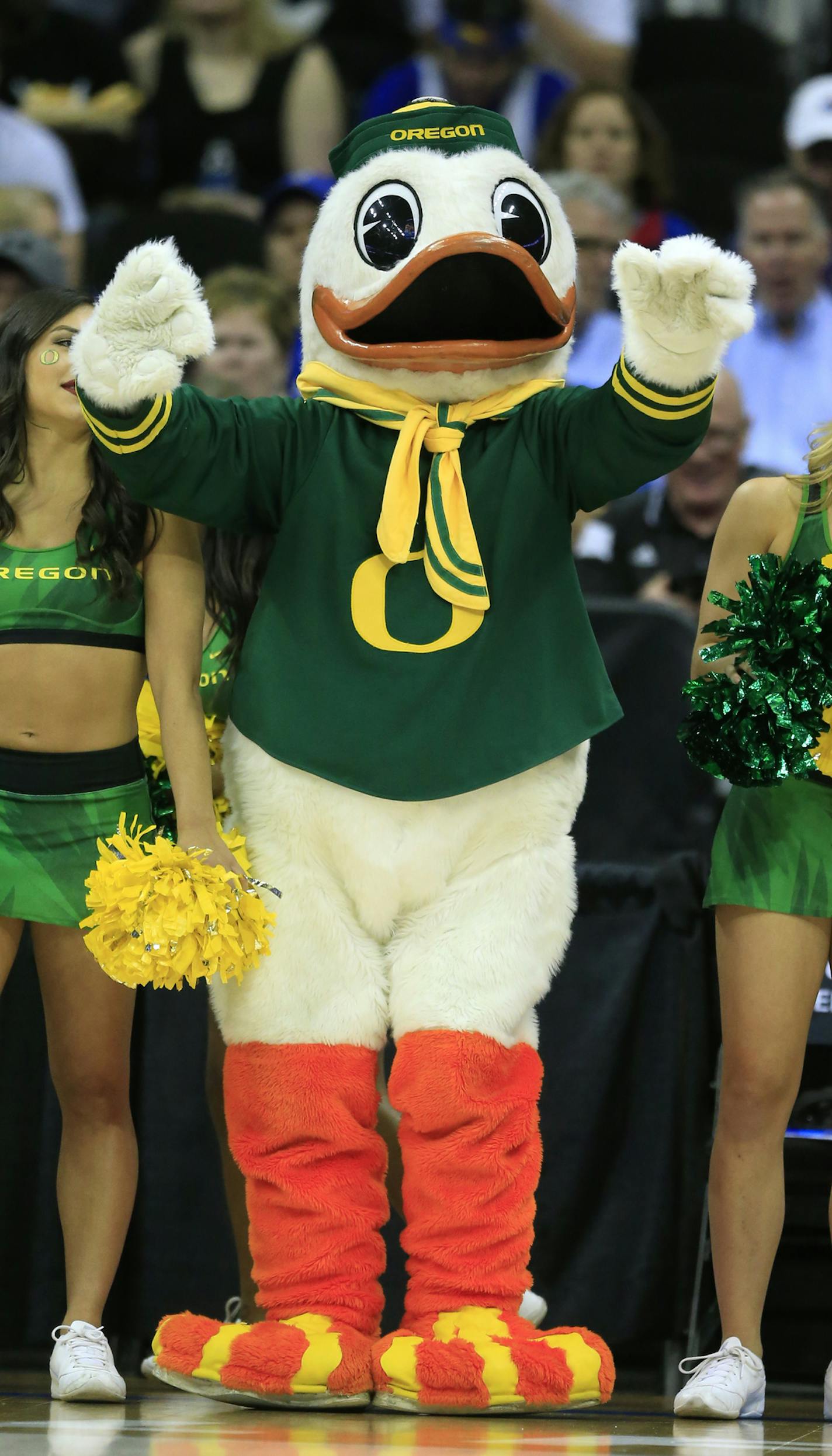 The Oregon mascot stands on the court before an NCAA college basketball game against Michigan in the regional semifinals of the men's NCAA Tournament, Thursday, March 23, 2017, in Kansas City, Mo. (AP Photo/Orlin Wagner)
