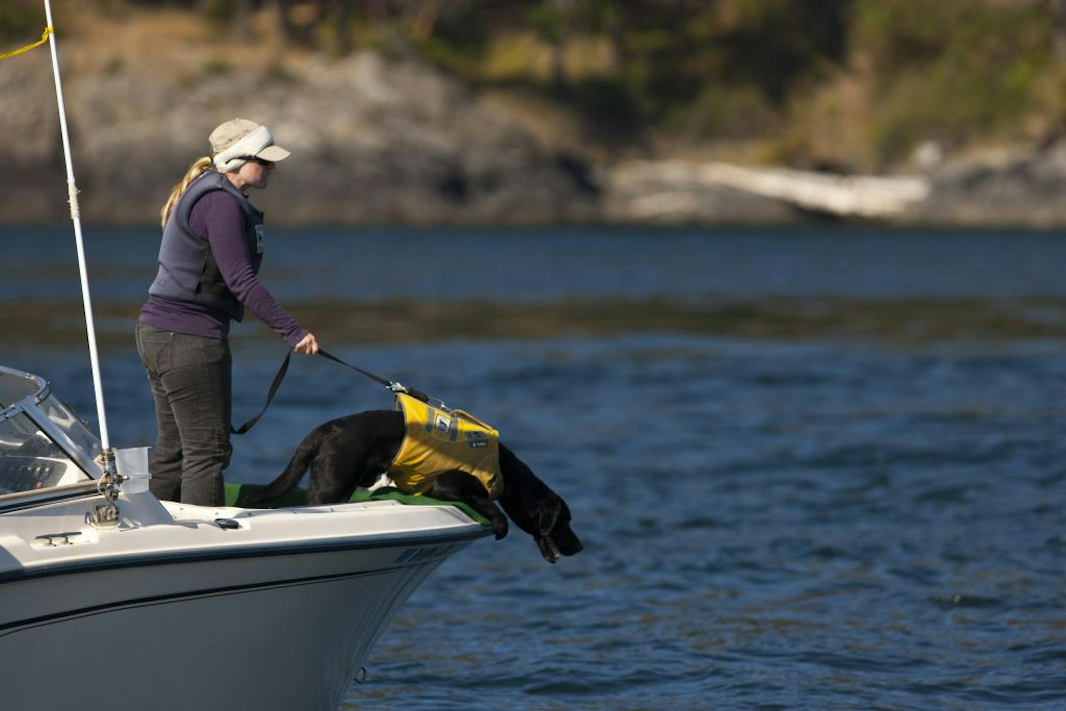 Researchers tracked endangered orcas off the coast of San Juan Island, Wash., with the help of Tucker, the world's only working dog able to find and track the scent of orca scat — up to a mile away. The collections are key to understanding the orcas' health, reflected through stress hormone levels and even environmental pollutants.