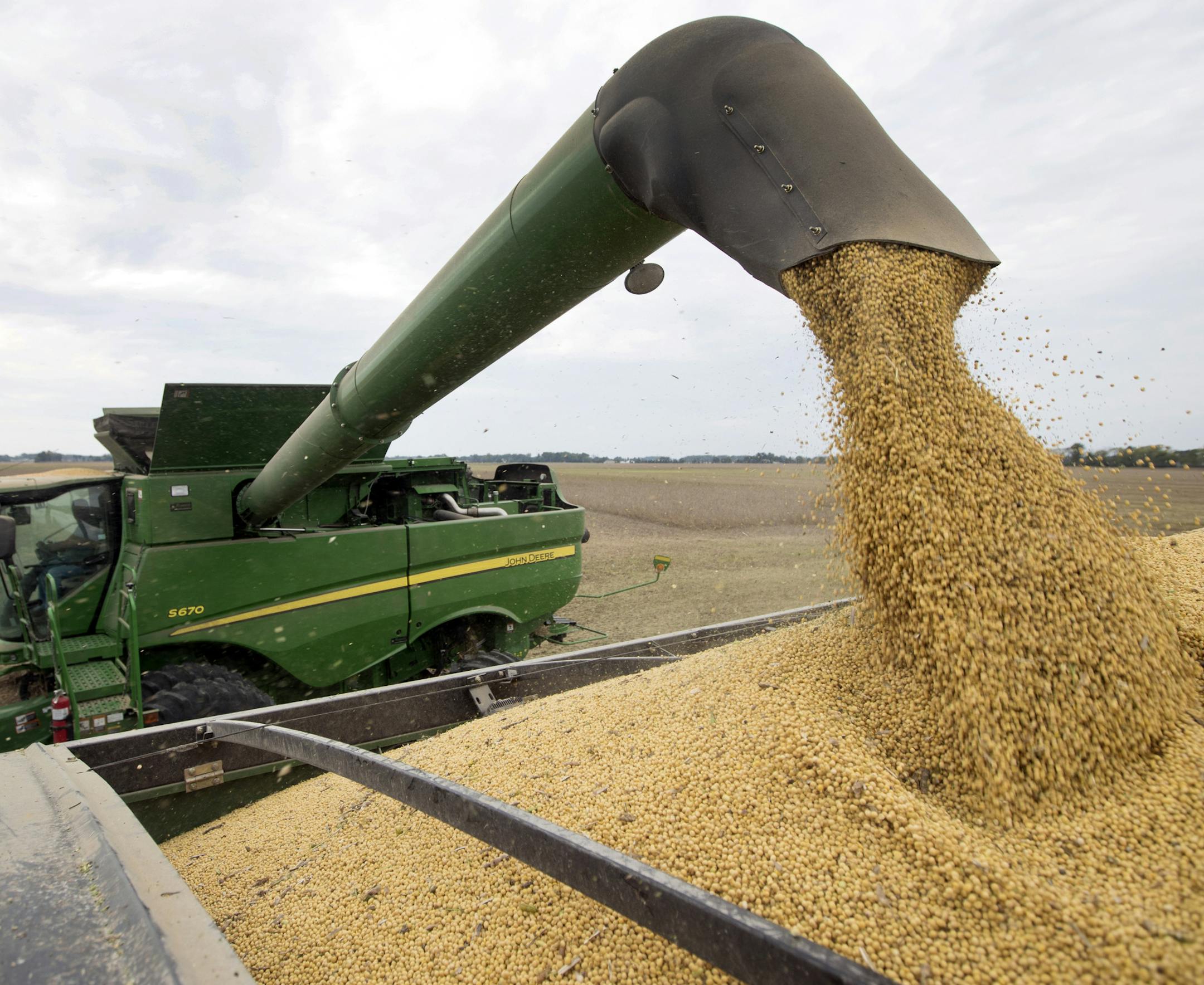 FILE - In this Sept. 21, 2018, file photo, Mike Starkey offloads soybeans from his combine as he harvests his crops in Brownsburg, Ind. For months, the U.S. economy has shrugged off the tariffs slapped by America and China on tens of billions of dollars of each other’s goods. In drawing up its list of targets, Beijing focused specifically on soybeans and other farm products in a direct shot at Trump supporters in the U.S. (AP Photo/Michael Conroy, File)