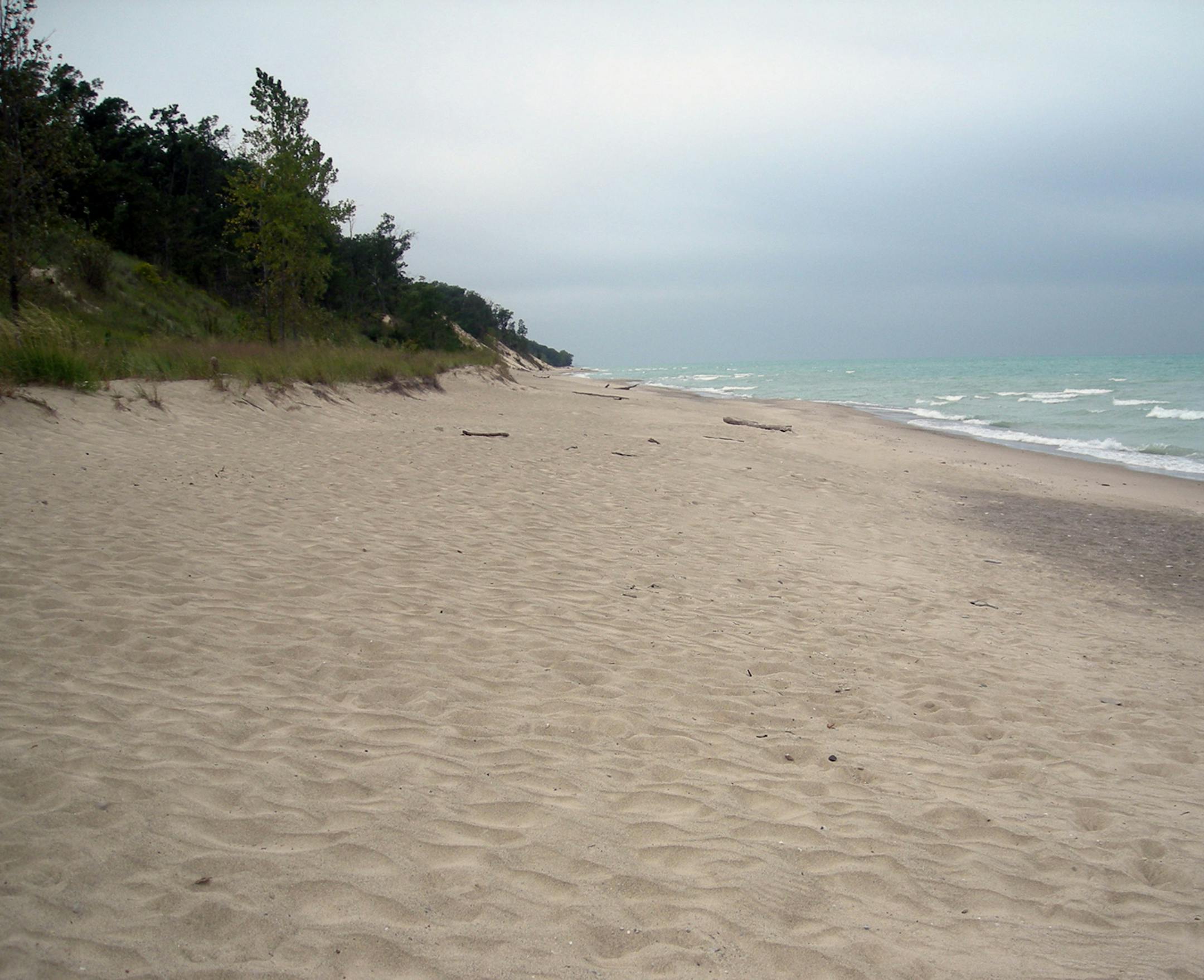 The sandy beaches on Lake Michigan are popular with swimmers and sunbathers in the summer. Some of the beach sands can, when conditions are right, produce musical notes when you walk on the sand. (Bob Downing/Akron Beacon Journal/MCT) ORG XMIT: 1133478