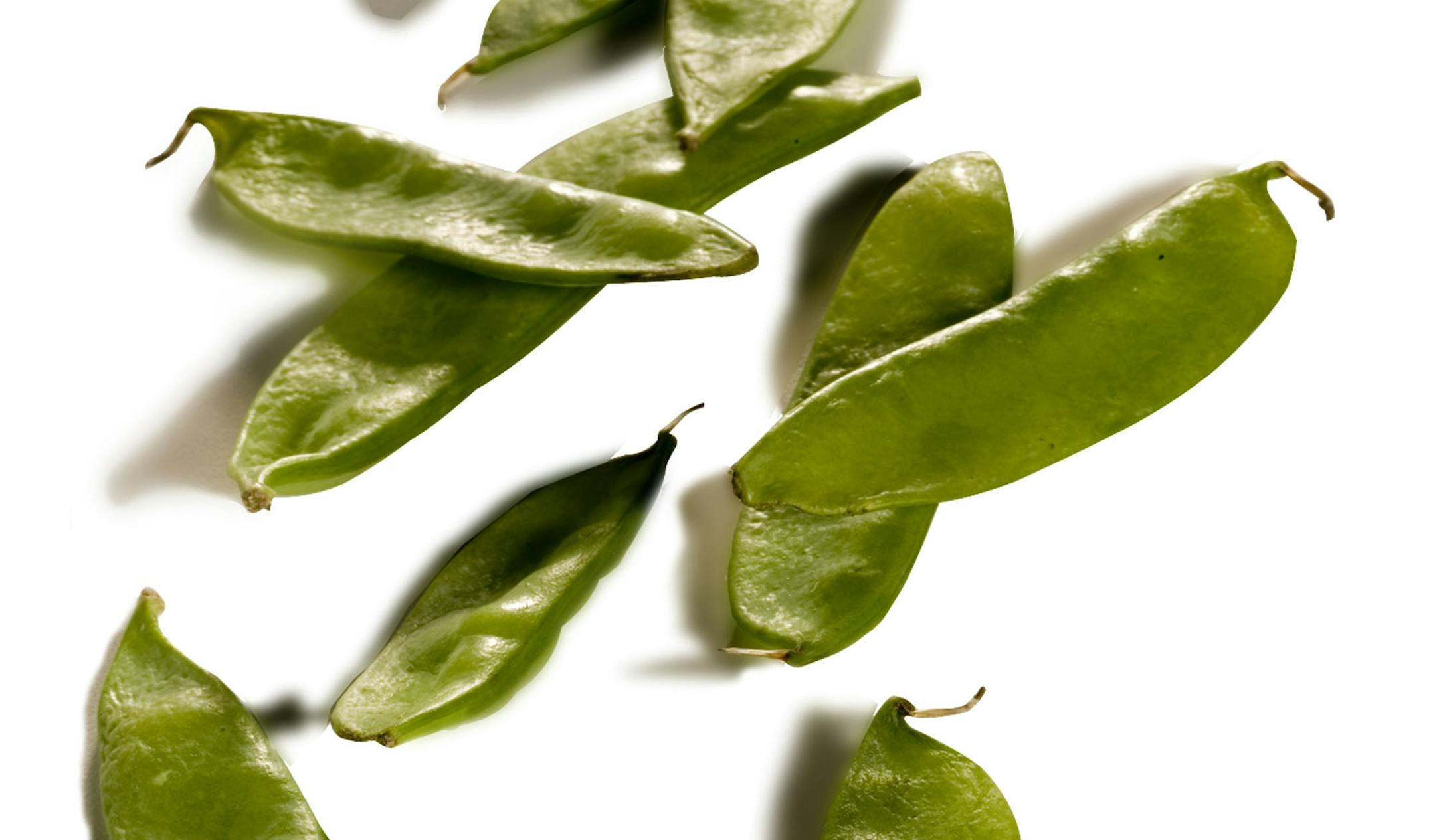 Snow peas are harvested before their seeds mature, keeping the pods thin and edible. (John Dziekan/Chicago Tribune/MCT)