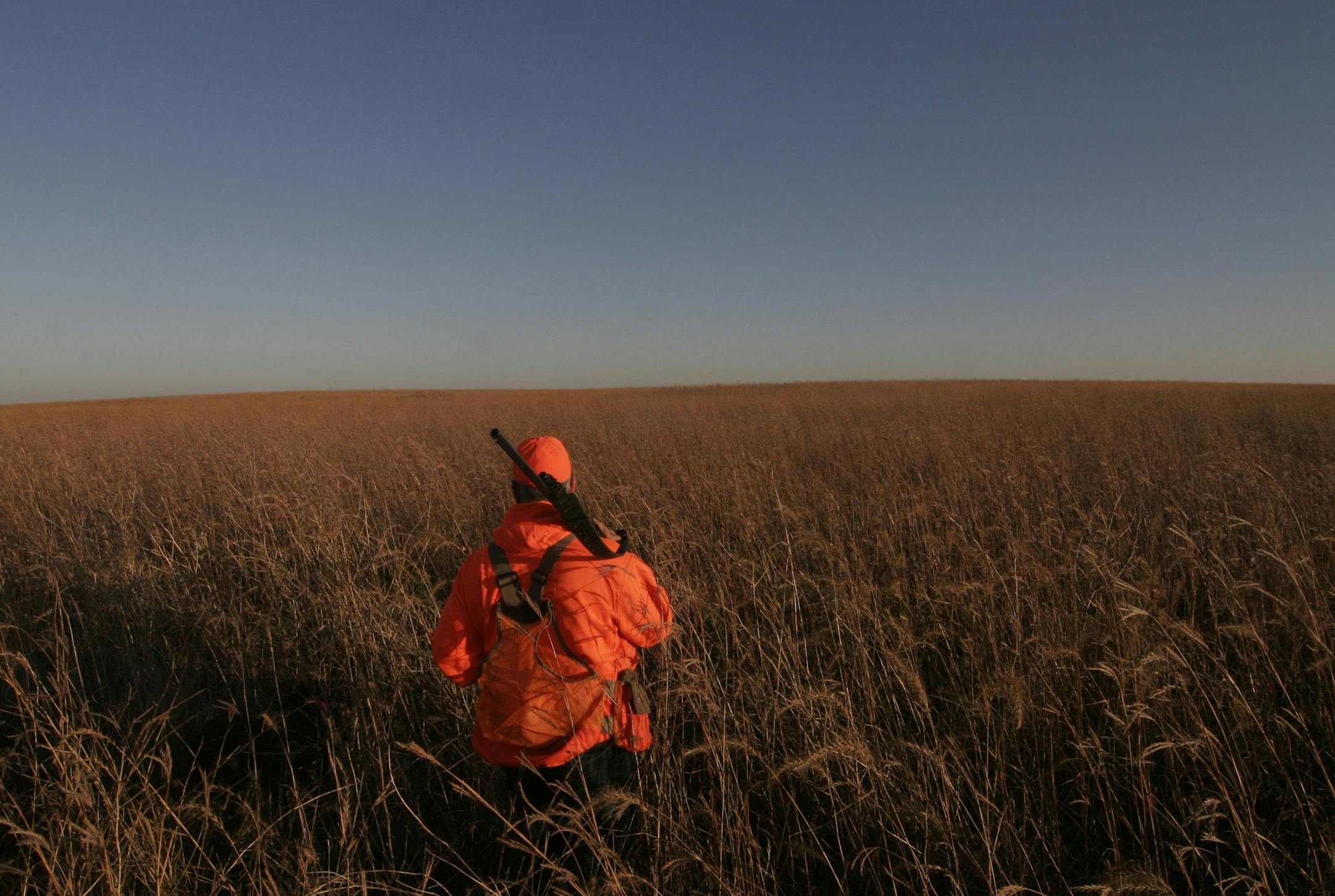 Grassland is key for pheasants -- and pheasant hunters.