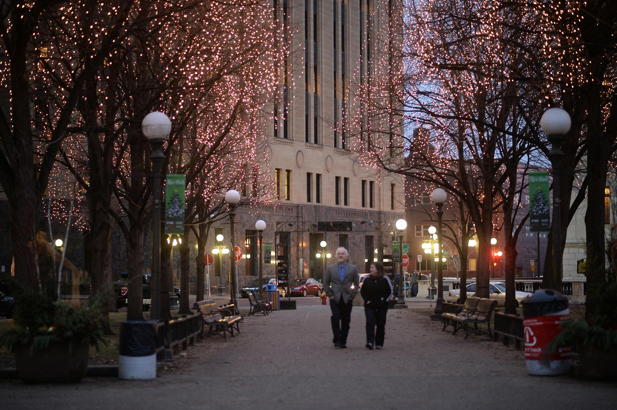 ] AARON LAVINSKY &#xef; aaron.lavinsky@startribune.com Wild Art in Rice Park photographed Dec. 26, 2014 in St. Paul. ORG XMIT: MIN1412251809060952
