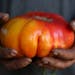 Ken Akopiantz holds an heirloom tomato for sale at his farm stand on Lopez Island, Wash. Also making a home in San Juan County is the former CEO of a 