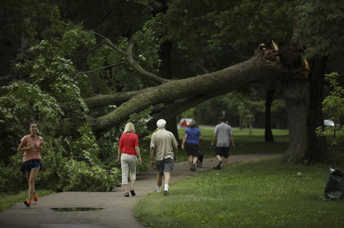 Walkers passed under a tree that fell over the path around Lake Nokomis Sunday afternoon. ] JEFF WHEELER &#xef; jeff.wheeler@startribune.com High winds and rain hit the metro area hard Sunday morning, June 11, 2017, downing trees and knocking out power in some areas.