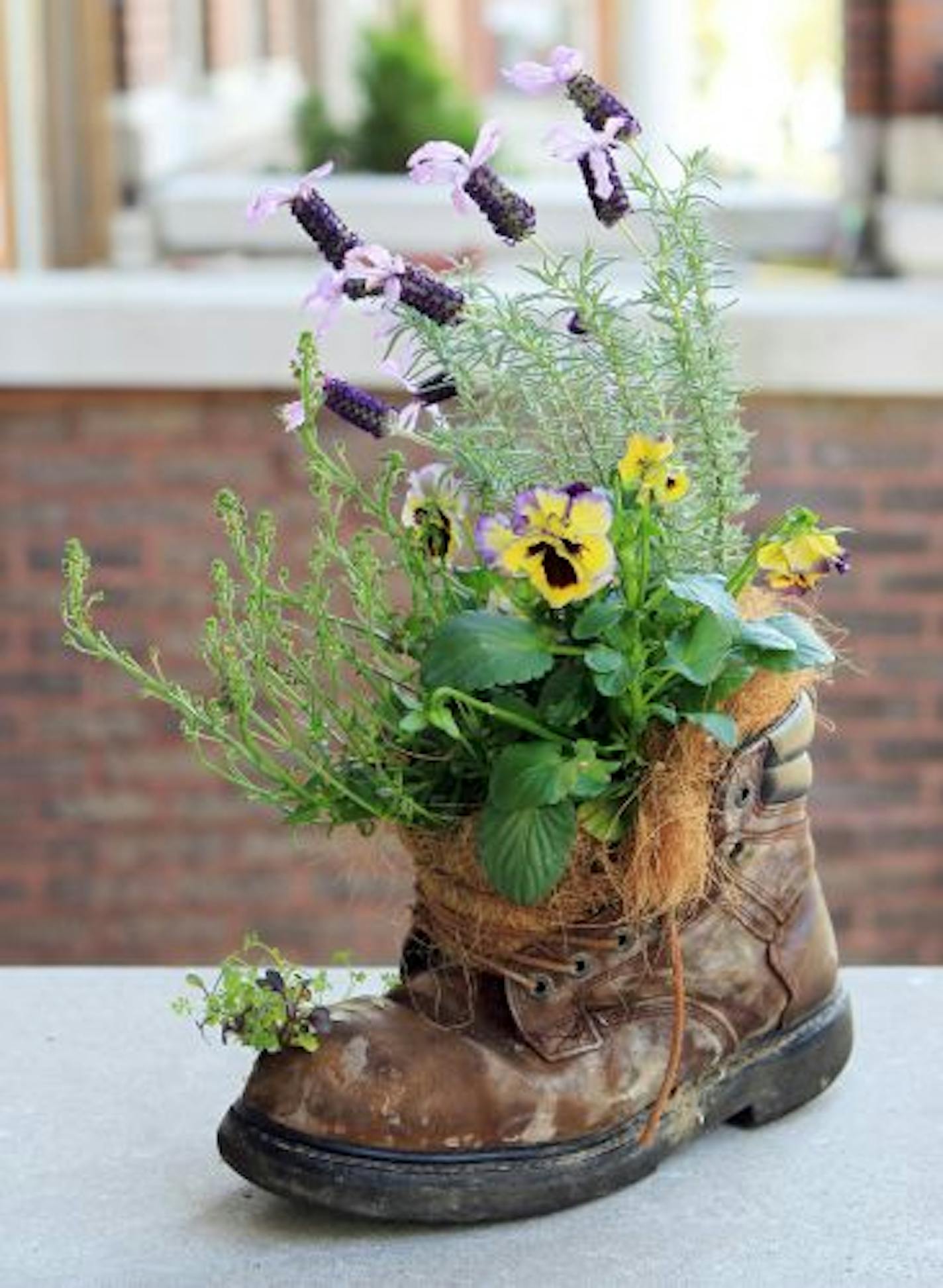 An old boot is now home for pansies and lavender.