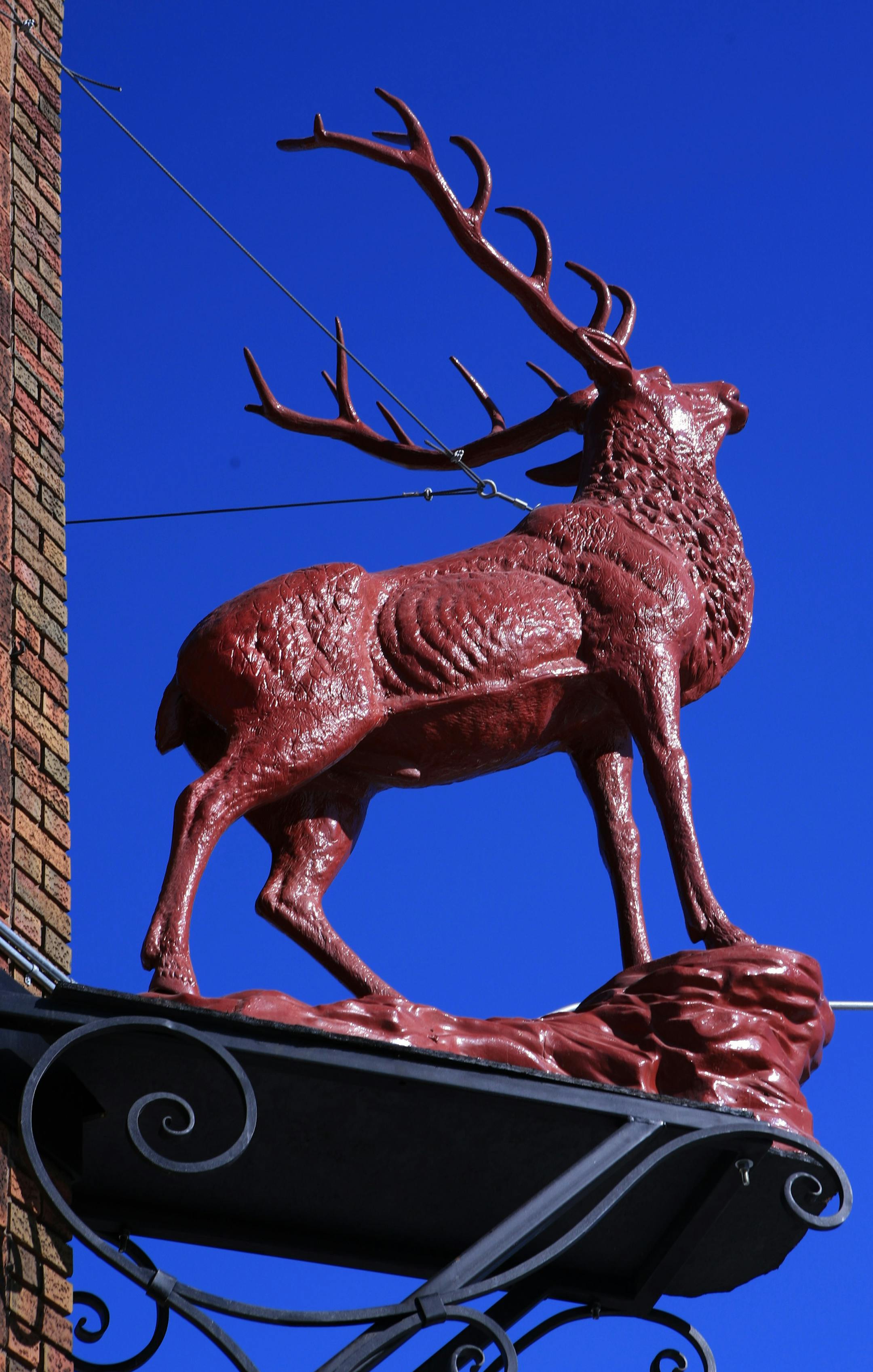 A statue of a red stag adorns the front of the Red Stag Supperclub.