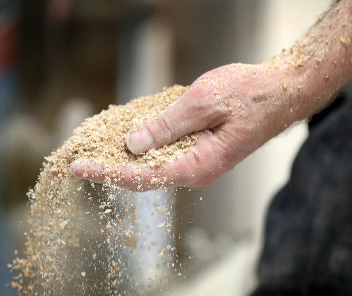 The ADM Atkinson Mill on Hiawatha Avenue, is the last flour mill left in the Mill City and was Tuesday, May 7, 2019, in Minneapolis, MN. Here, Charlie Hatch ADM Atkinson Mill's plant operations manager, with flour early in the milling process.] DAVID JOLES &#x2022;david.joles@startribune.com There will soon be just one flour mill left standing in the Mill City, following the closure of ADM's Nokomis Mill on Hiawatha Avenue. We plan to visit the last remaining mill, Atkinson, to see what 21st Cen