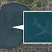 This image from Google Earth appears to show an airplane below the surface of Lake Harriet.
