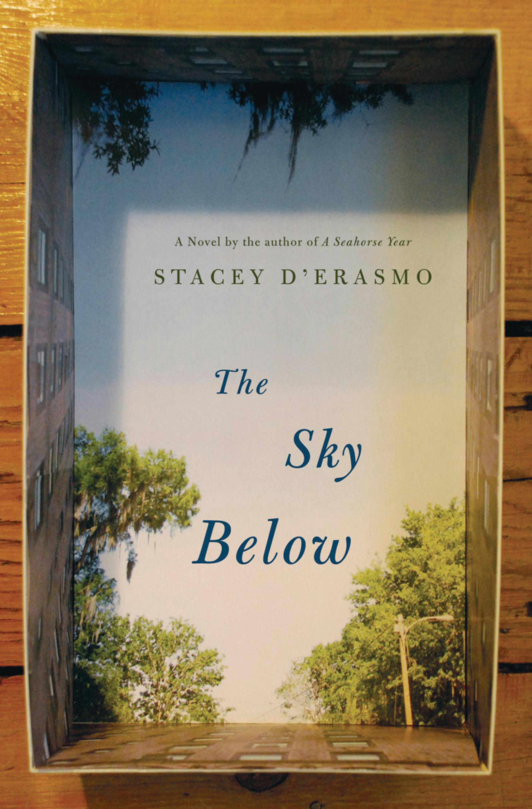 The Sky Below by Stacey D'Erasmo