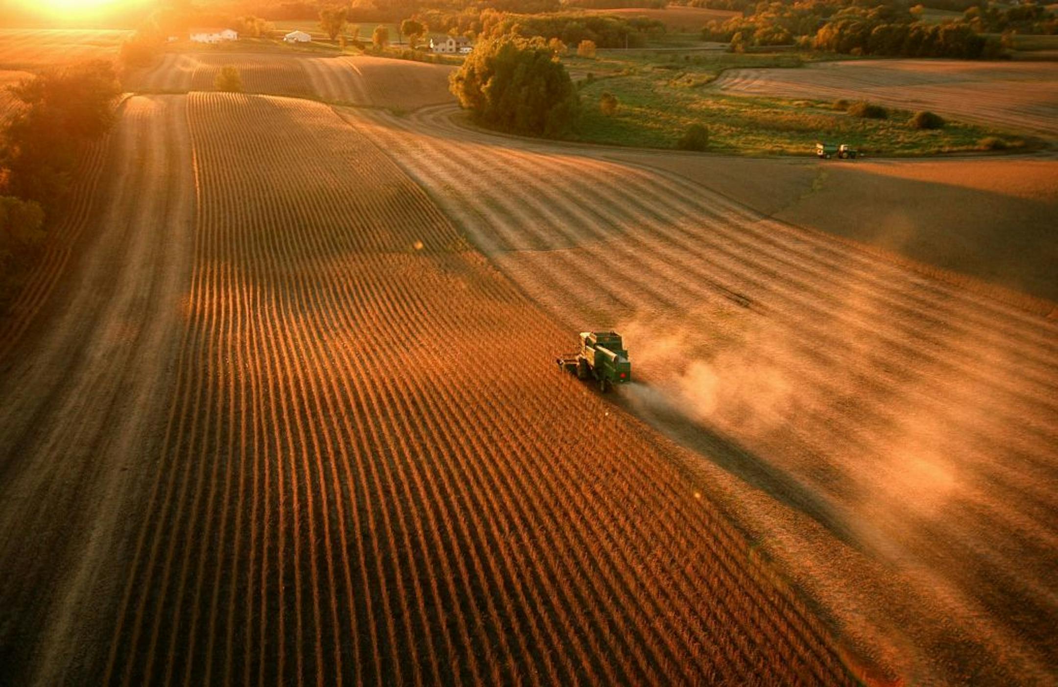 In the short term, the tariff suspension can give some soybean farmers a place to put crops that they must soon harvest.