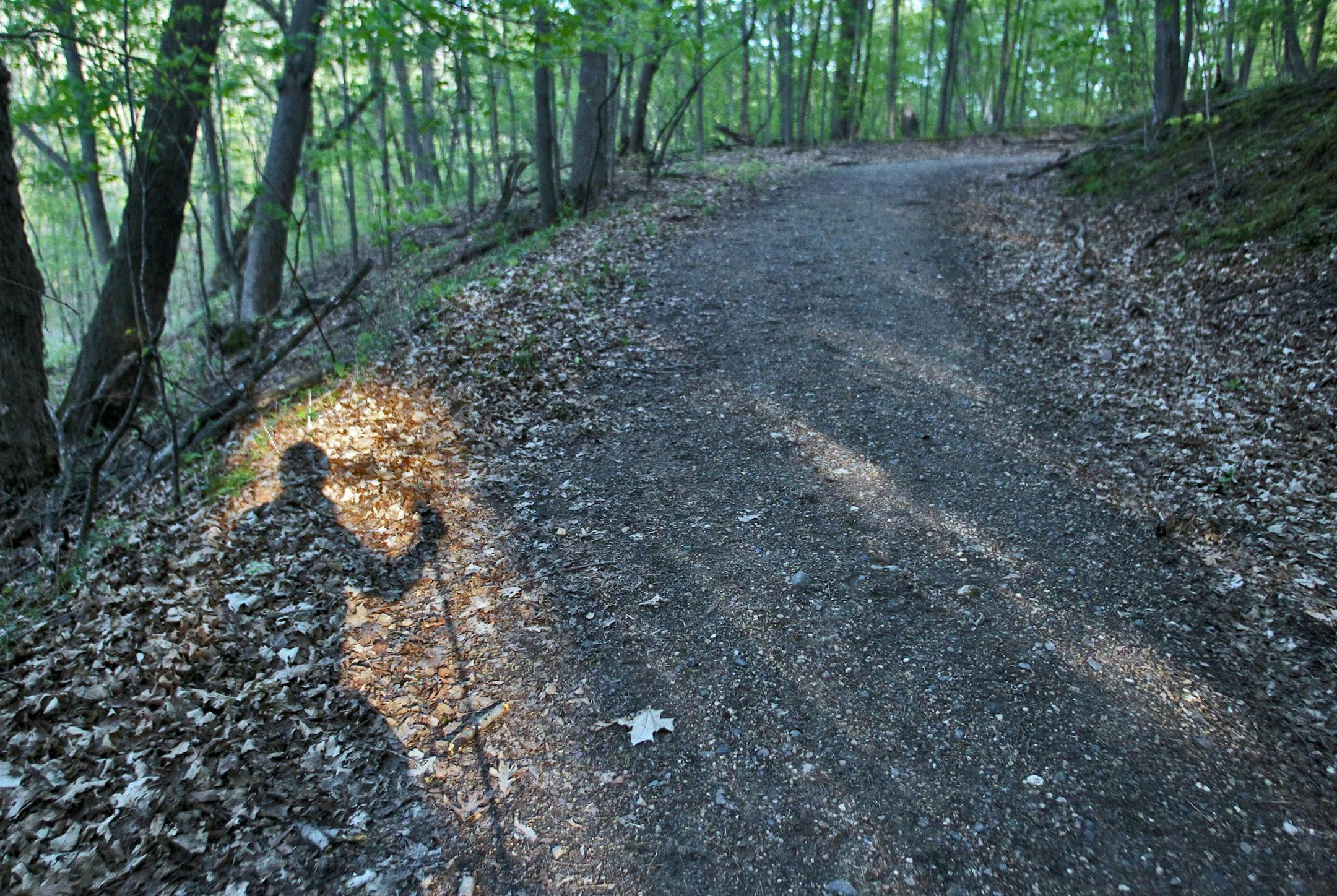 There are 155 Science and Natural Areas located around the state operated by the state Department of Natural Resources. They are undeveloped areas of nature with displays of rare plants and wildflowers, often with scenic views of woodland bluffs, lakes or prairies.