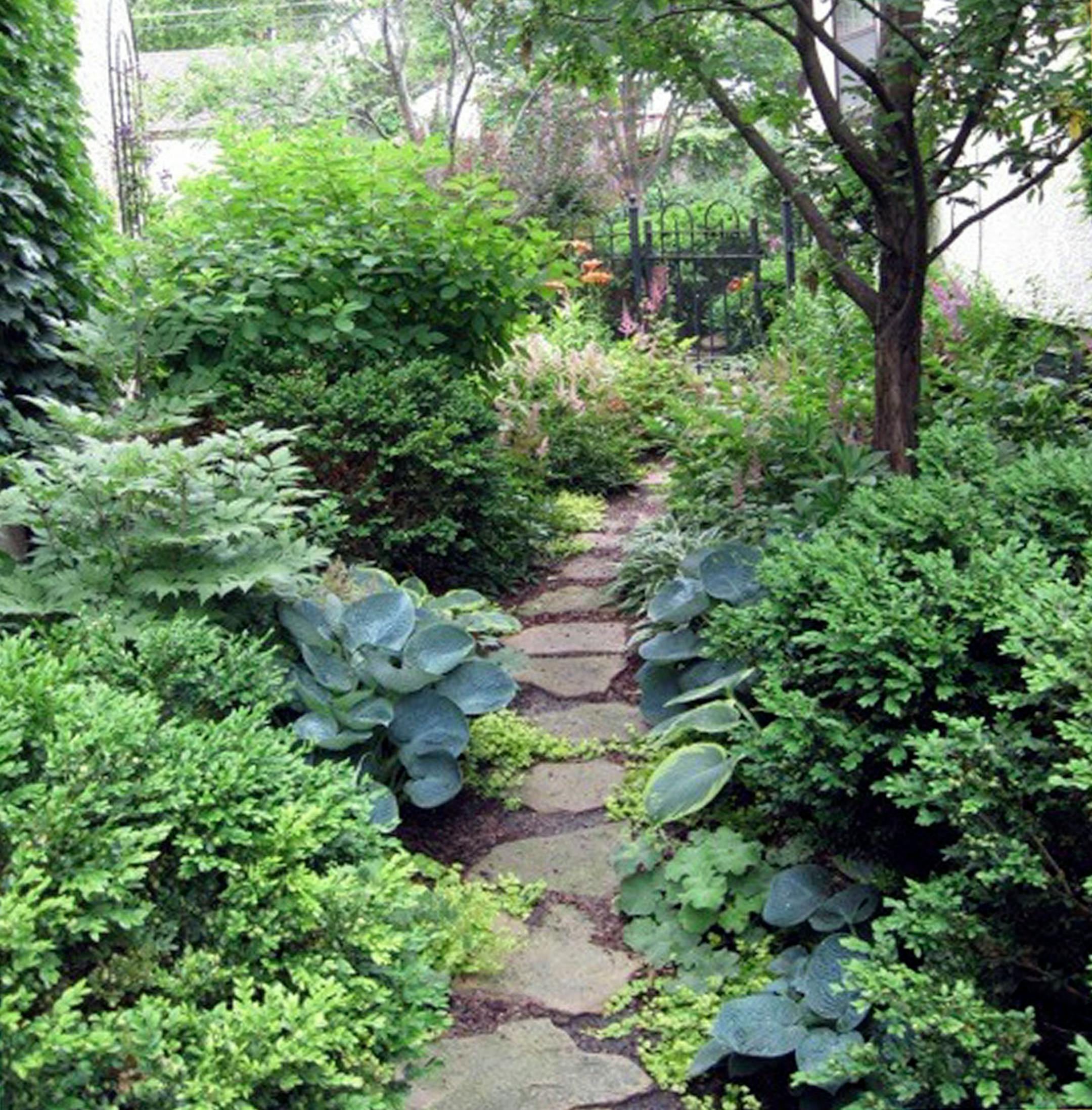 Freeman created a steppingstone garden in a former dead space between her home and a neighbor's.
