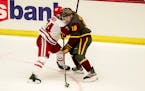 Wisconsin's Anthony Kehrer (24) and Arizona State's Jax Murray (18) during the second period of an NCAA college hockey game Saturday, Nov. 28, 2020, i