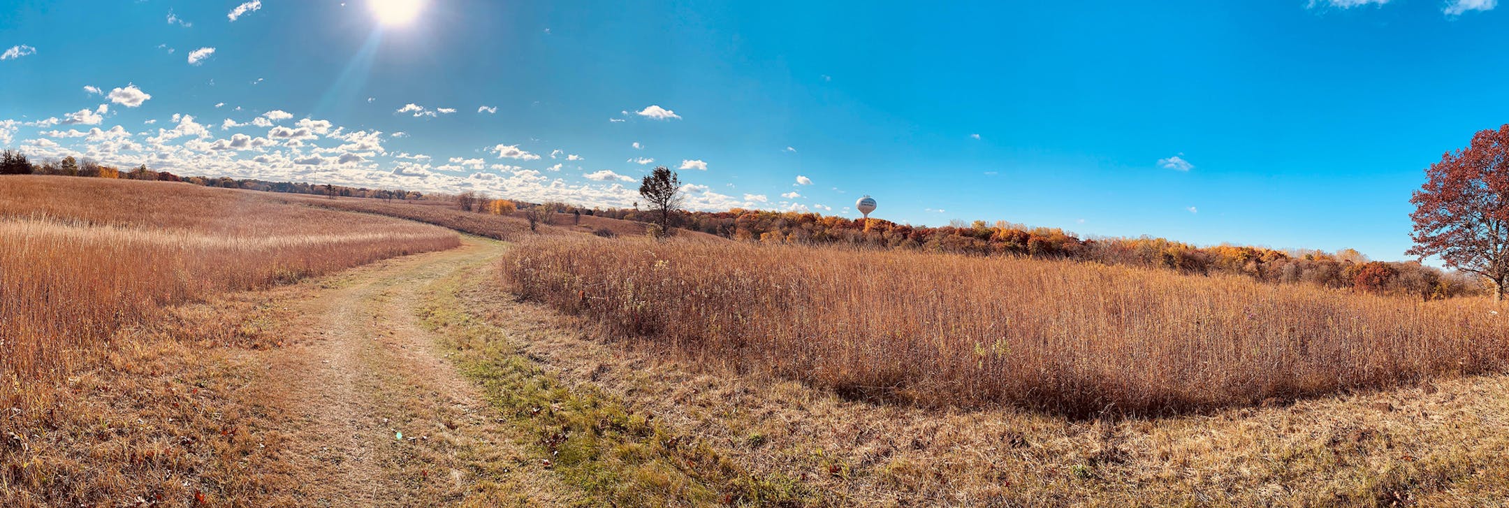 A beautiful fall morning in the preserve surrounding Tamarack Nature Center.
