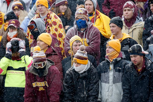 Minnesota fans braved the cold and snow during the game against Ohio State, Saturday, November 15, 2014.