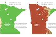 Climate change could mean more prairie, less forest in Minnesota
