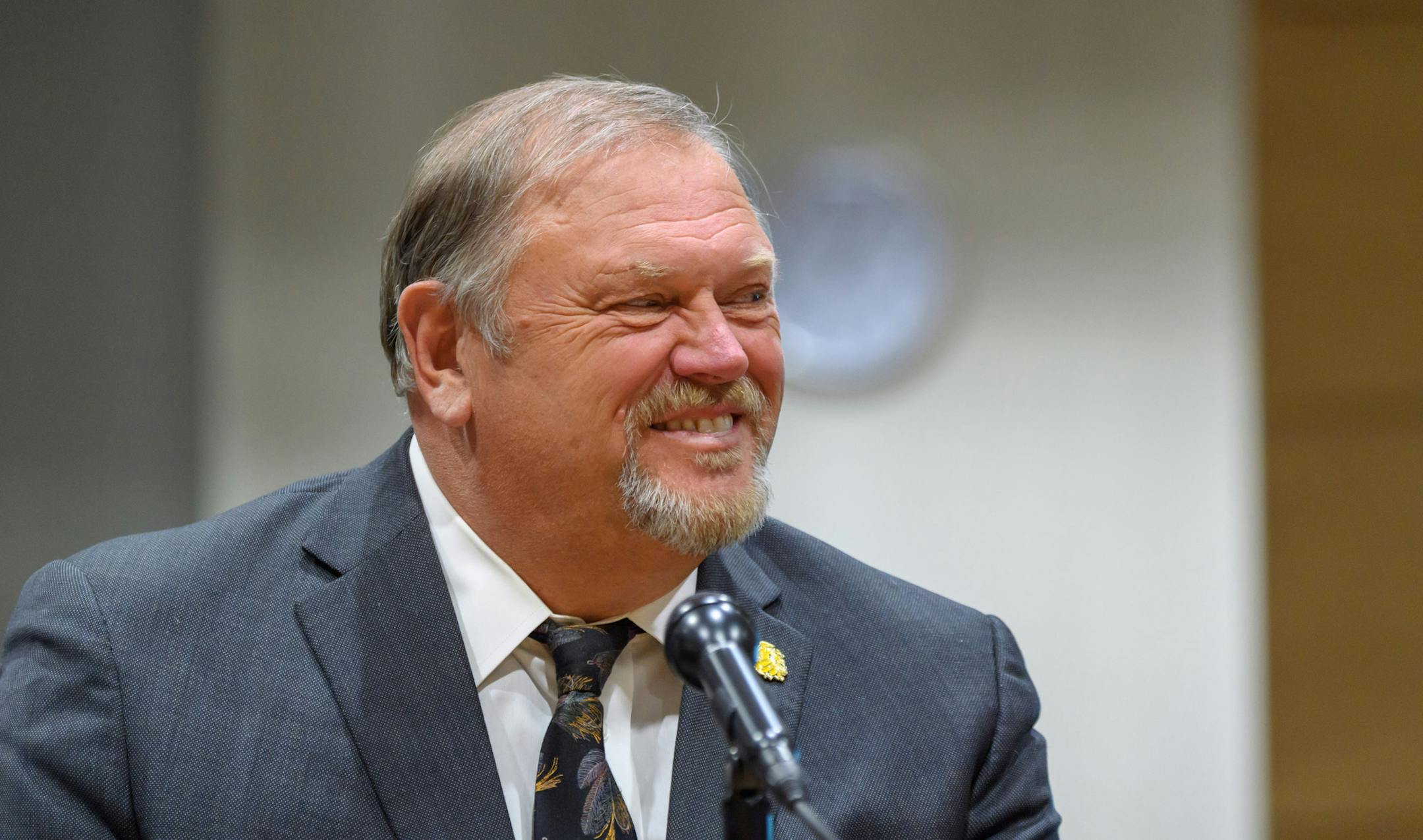 Senate Minority Leader Tom Bakk, pictured in a 2018 file photo.