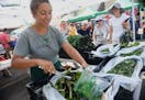 Amelia Gavurin gathered some leafy greens for a customer at the Uproot Farm booth at the Kingfield Farmers Market, which is held on Sunday mornings on
