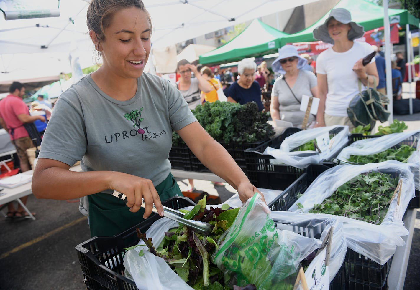 Amelia Gavurin gathered some leafy greens for a customer at the Uproot Farm booth at the Kingfield Farmers Market, which is held on Sunday mornings on Nicollet Ave between 43rd and 44th Streets from 8:30 a.m.-1p.m. ] Isaac Hale &#xef; isaac.hale@startribune.com This year's Taste Fifty focuses on Nicollet Avenue, also know as "Eat Street" in Minneapolis.