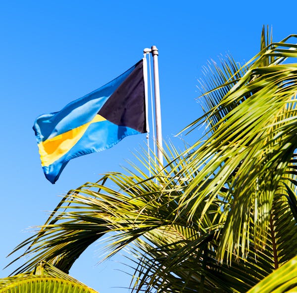 National Bahama flag and palm tree, clear blue sky