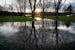 The tree line is reflected in a large puddle at dusk at Theodore Wirth Park in Minneapolis, Minn., on Thursday, April 8, 2021.